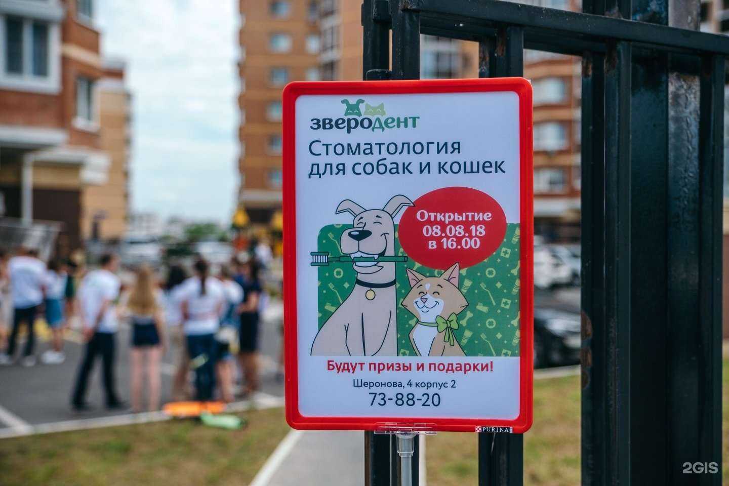 Отзывы на компанию Дружок в г. Хабаровск c фото