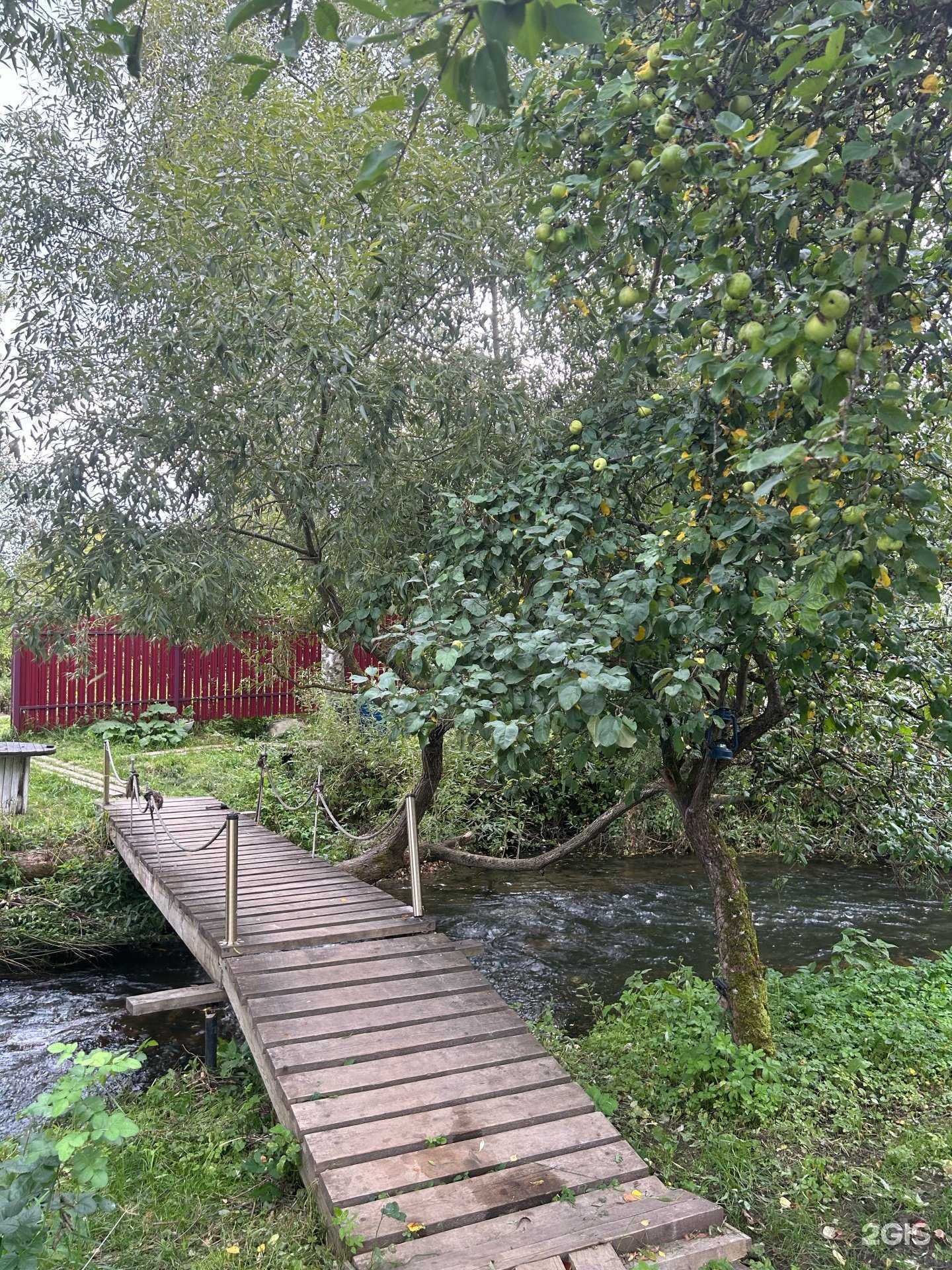 Отзывы на компанию Vteple в Санкт-Петербурге c фото