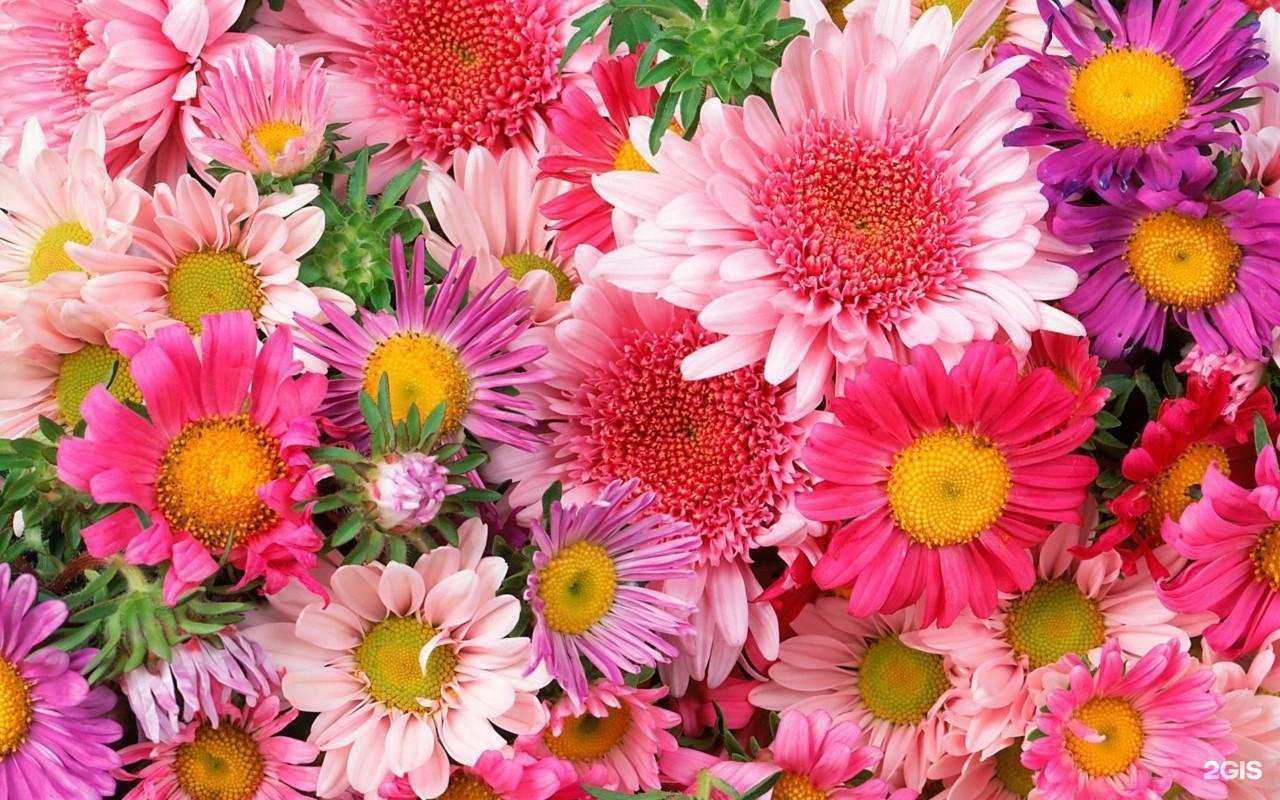 Отзывы на компанию Детский сад №17 в Ижевске c фото