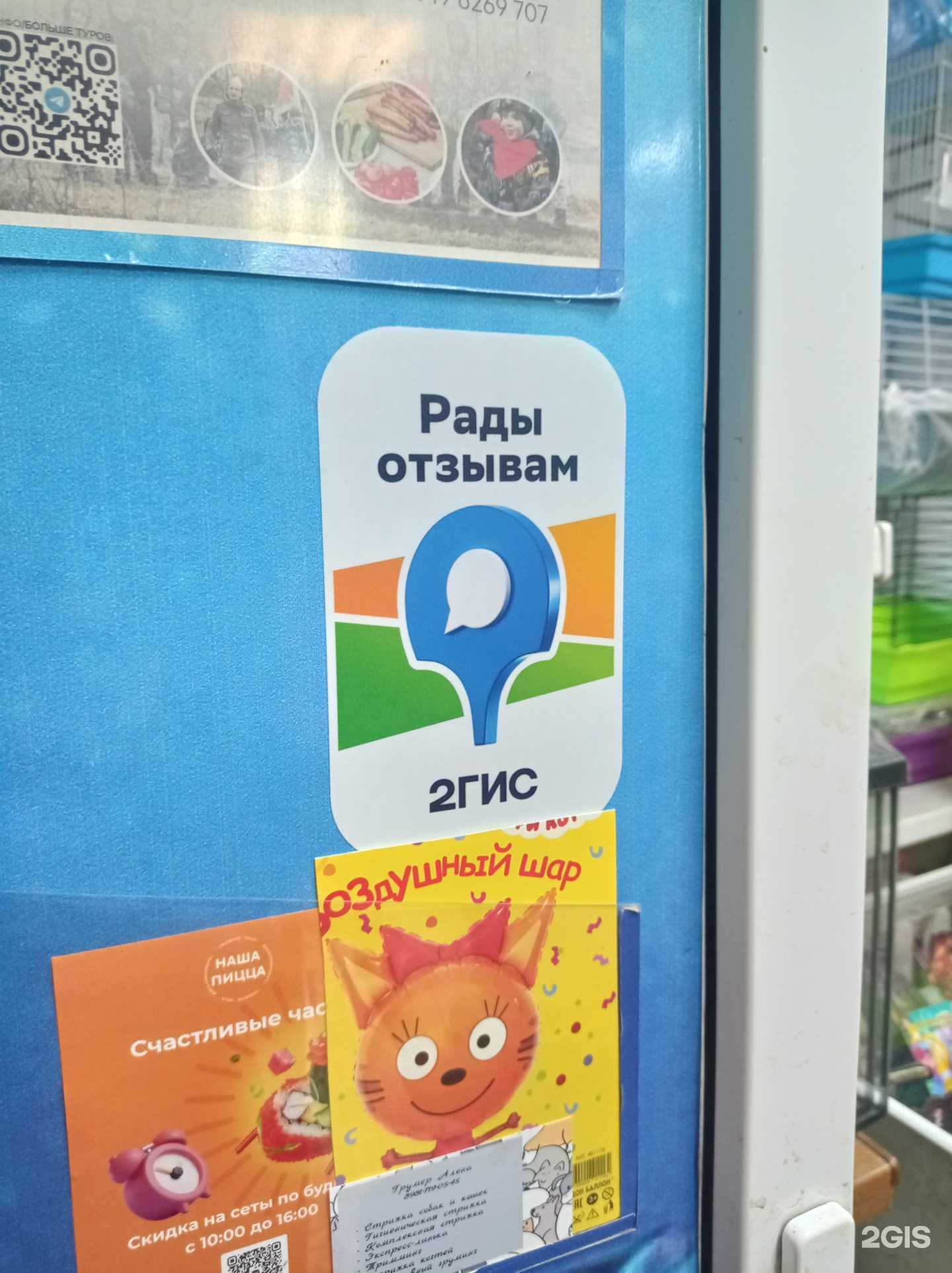 Отзывы на компанию Кот Леопольд в Лениногорске c фото