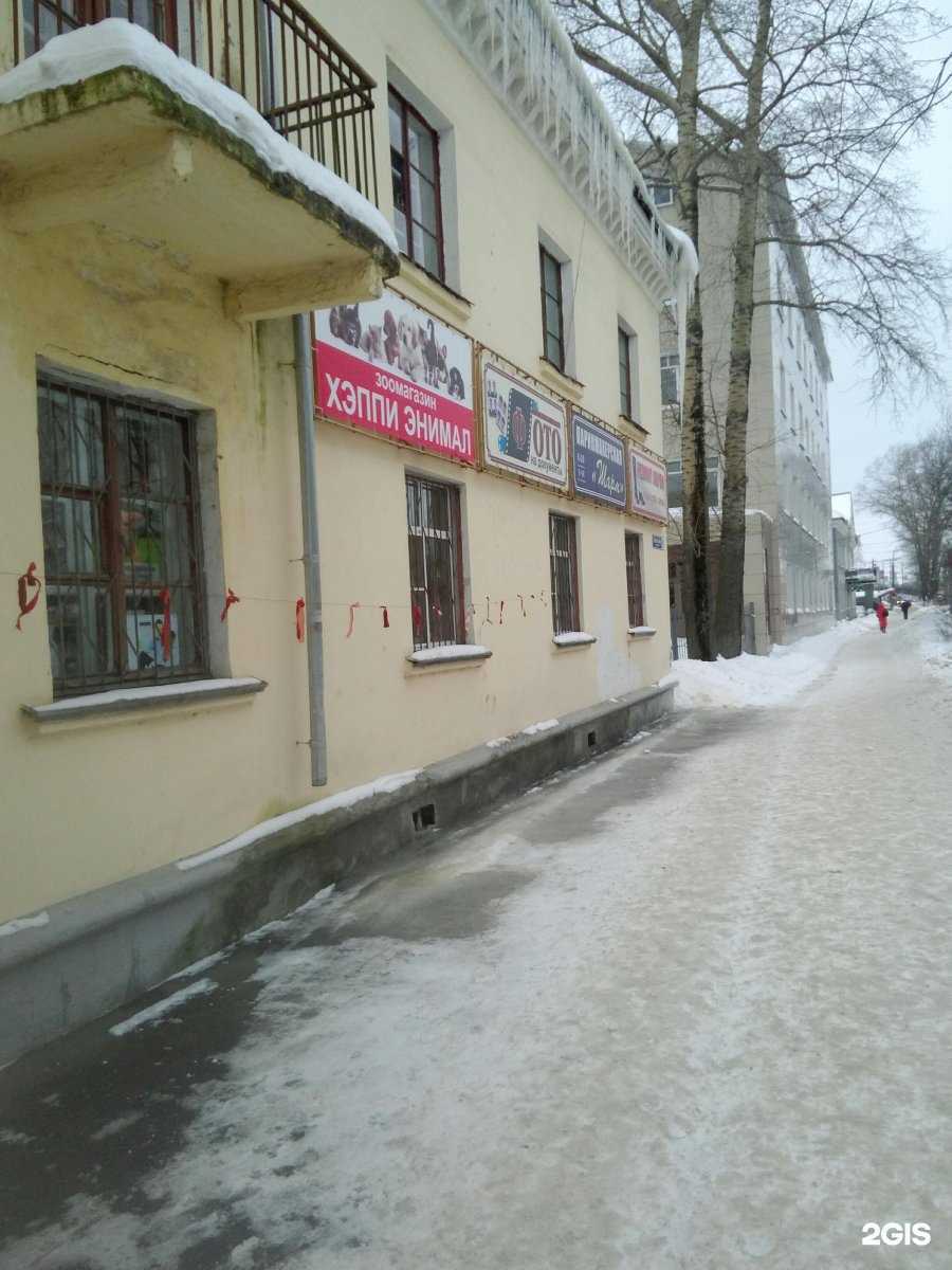 Отзывы на компанию Хэппи Энимал в г. Вологда c фото