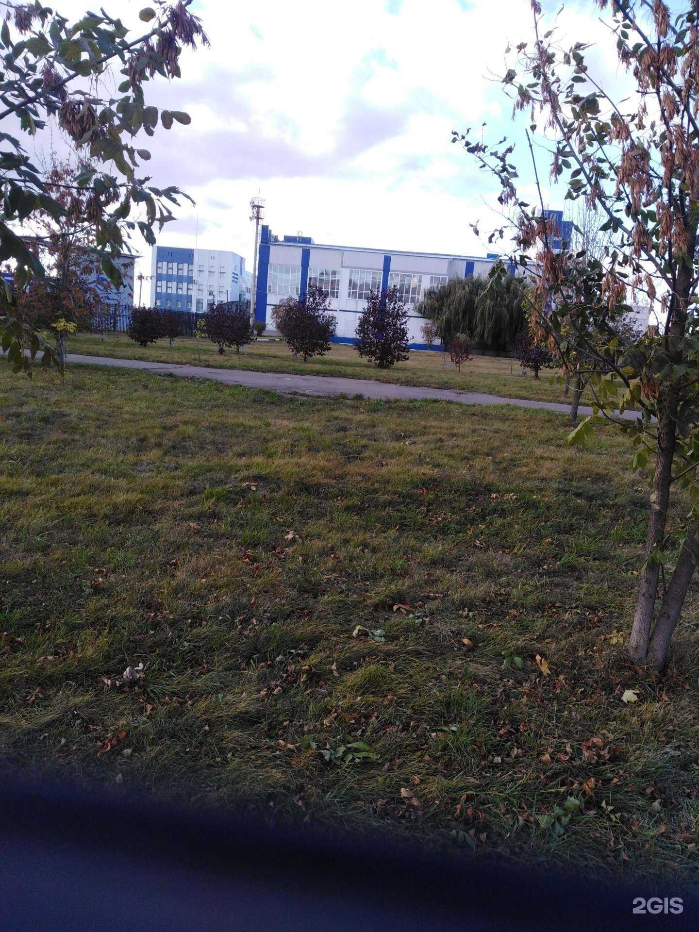 Отзывы на компанию Стоматологический кабинет в Тамбове c фото