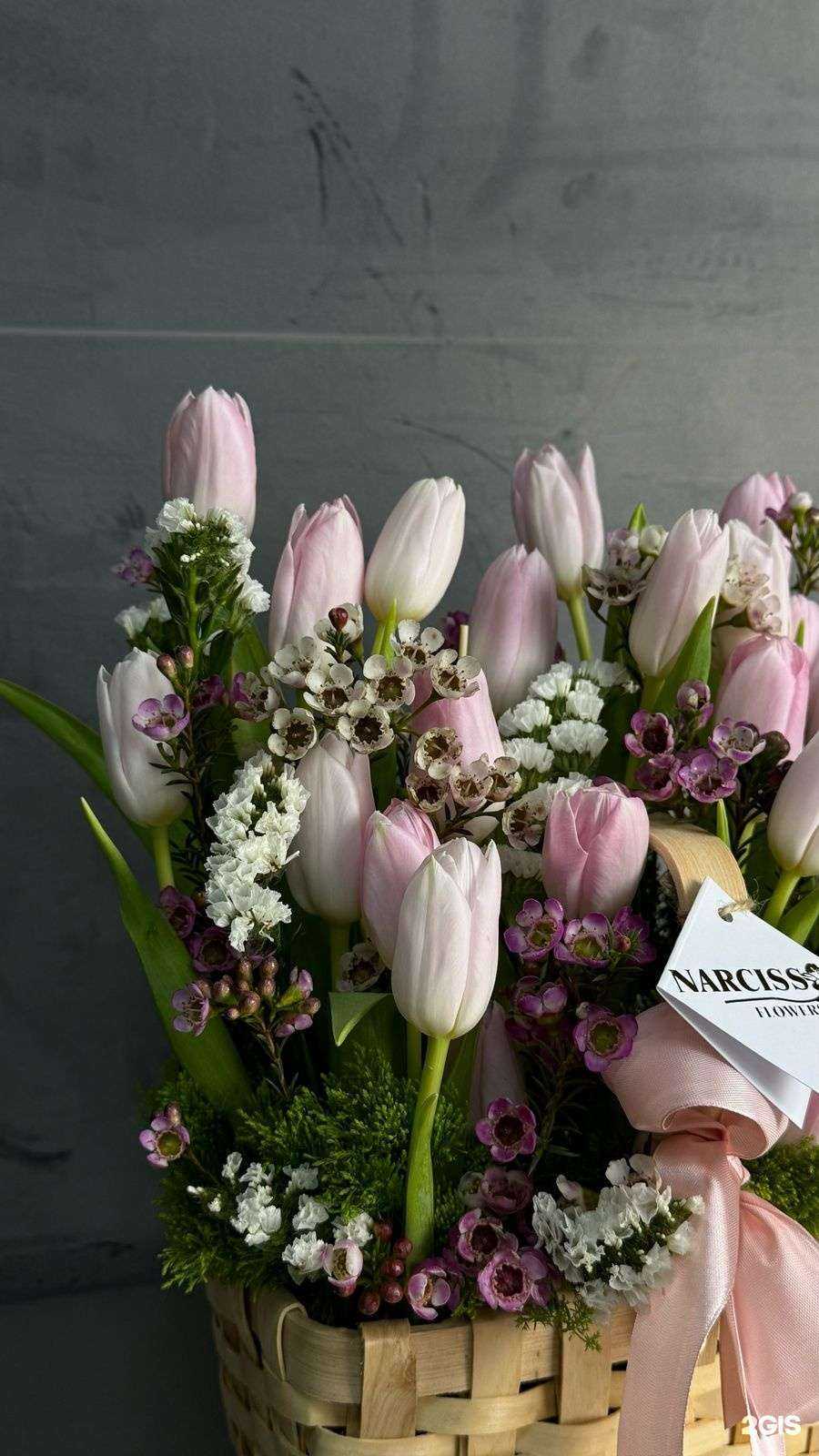 Отзывы на компанию Narciss в Георгиевске c фото