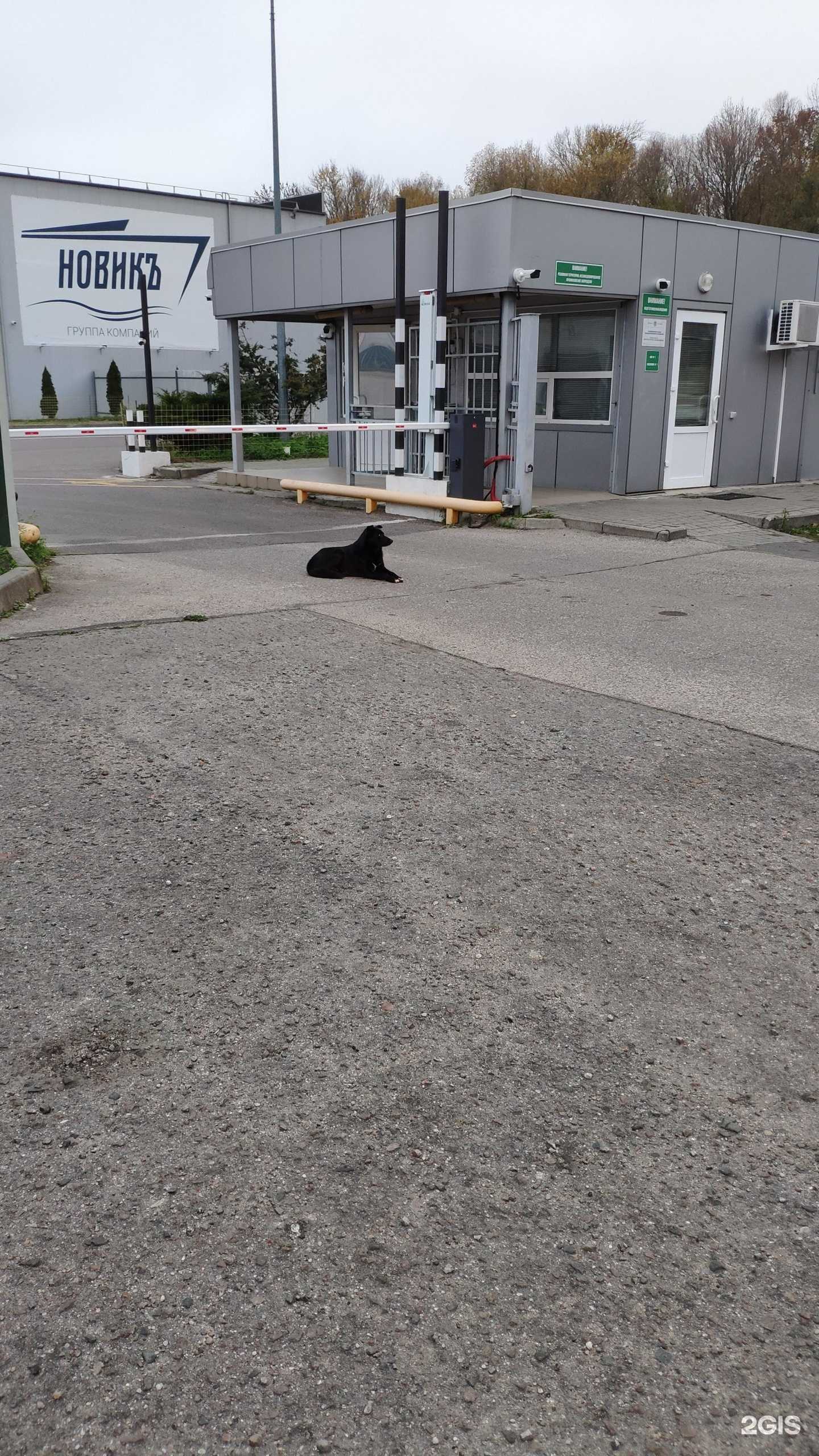 Отзывы на компанию Теремок в Калининграде c фото - фотография 2 из 2