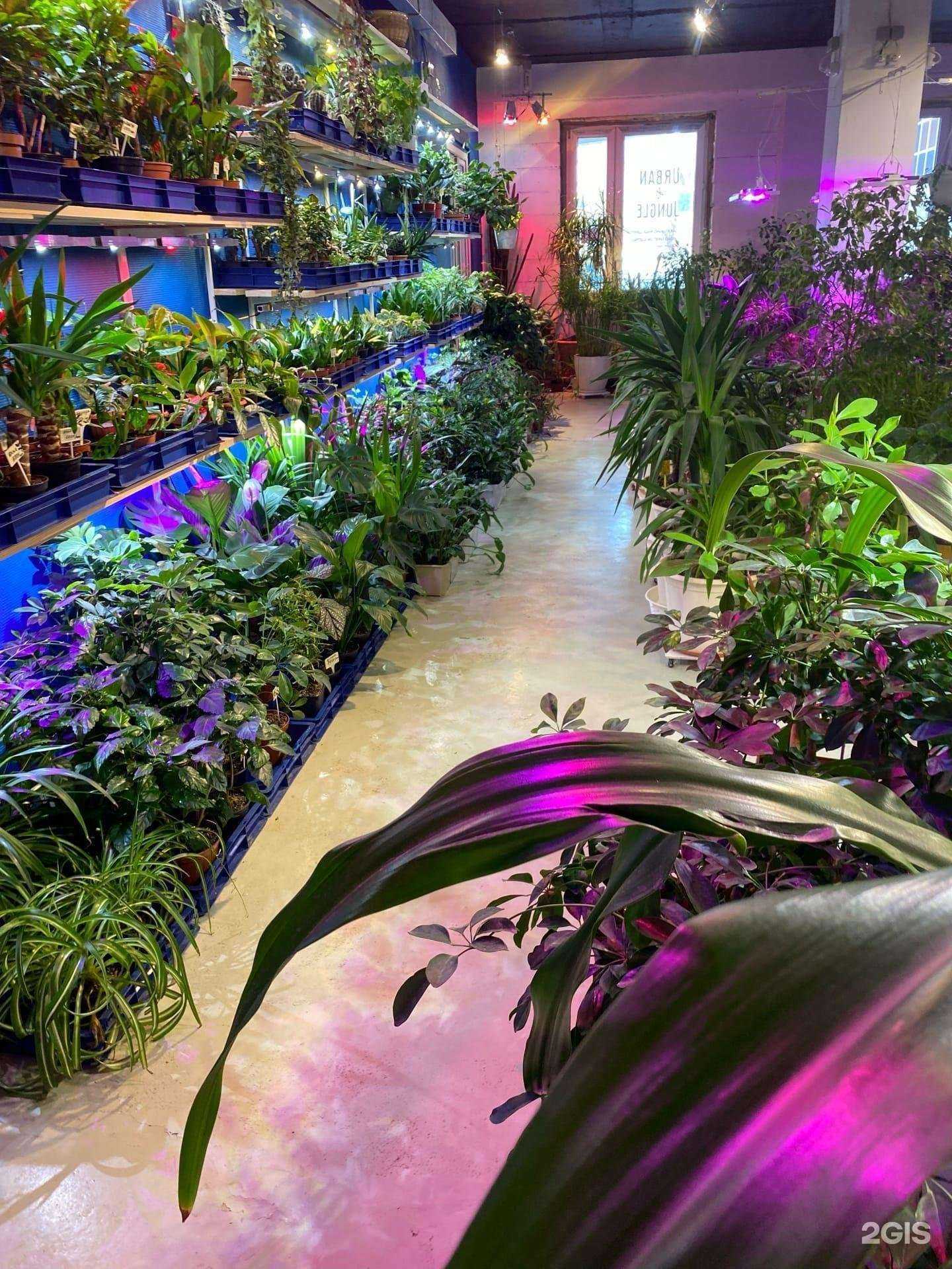 Отзывы на компанию Urban jungle в Екатеринбурге c фото