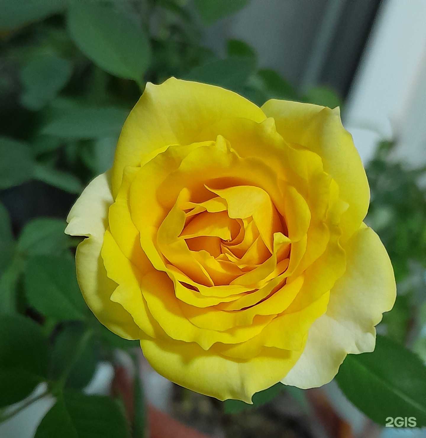 Отзывы на компанию Мой университет в г. Петрозаводск c фото