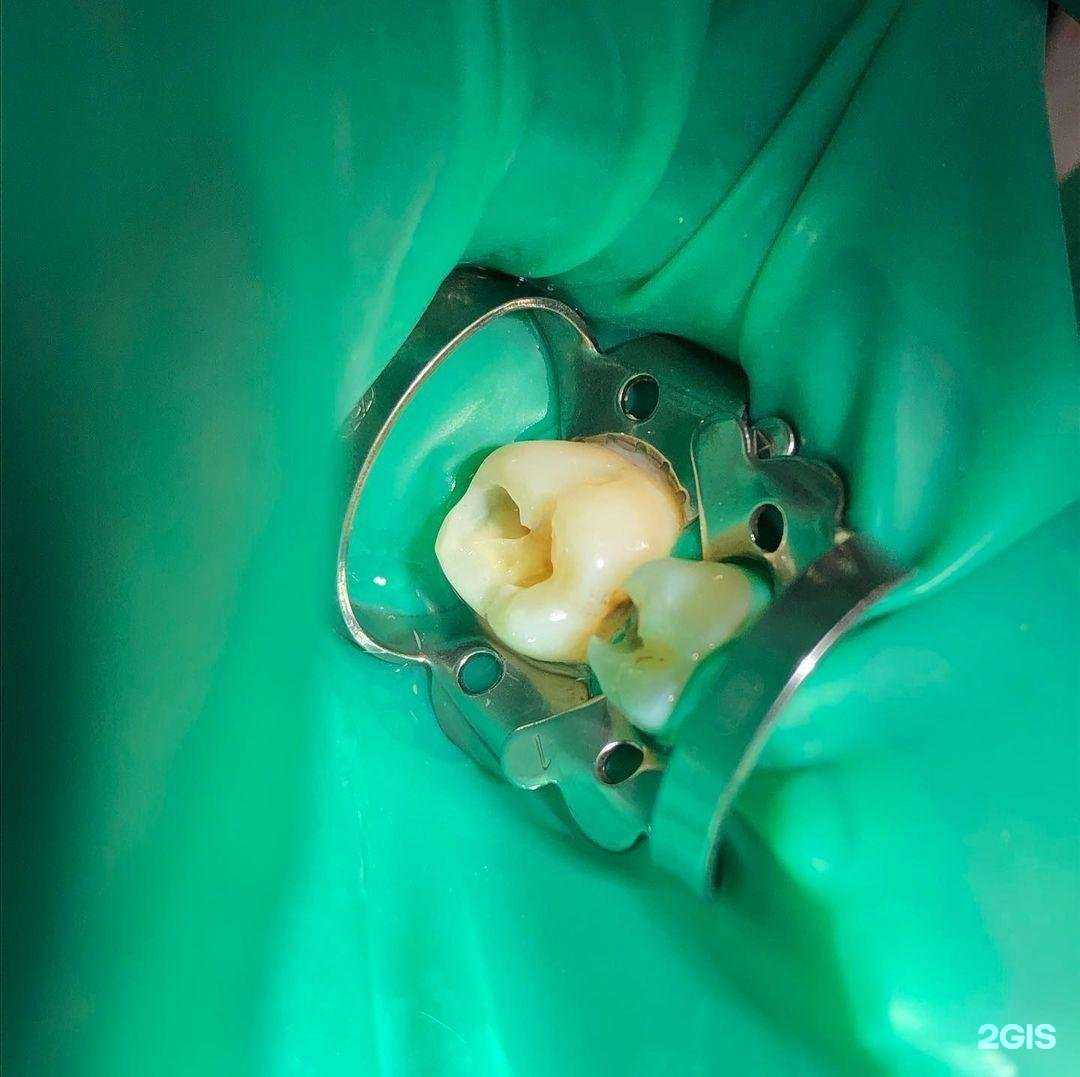 Отзывы на компанию Stella в г. Махачкала c фото