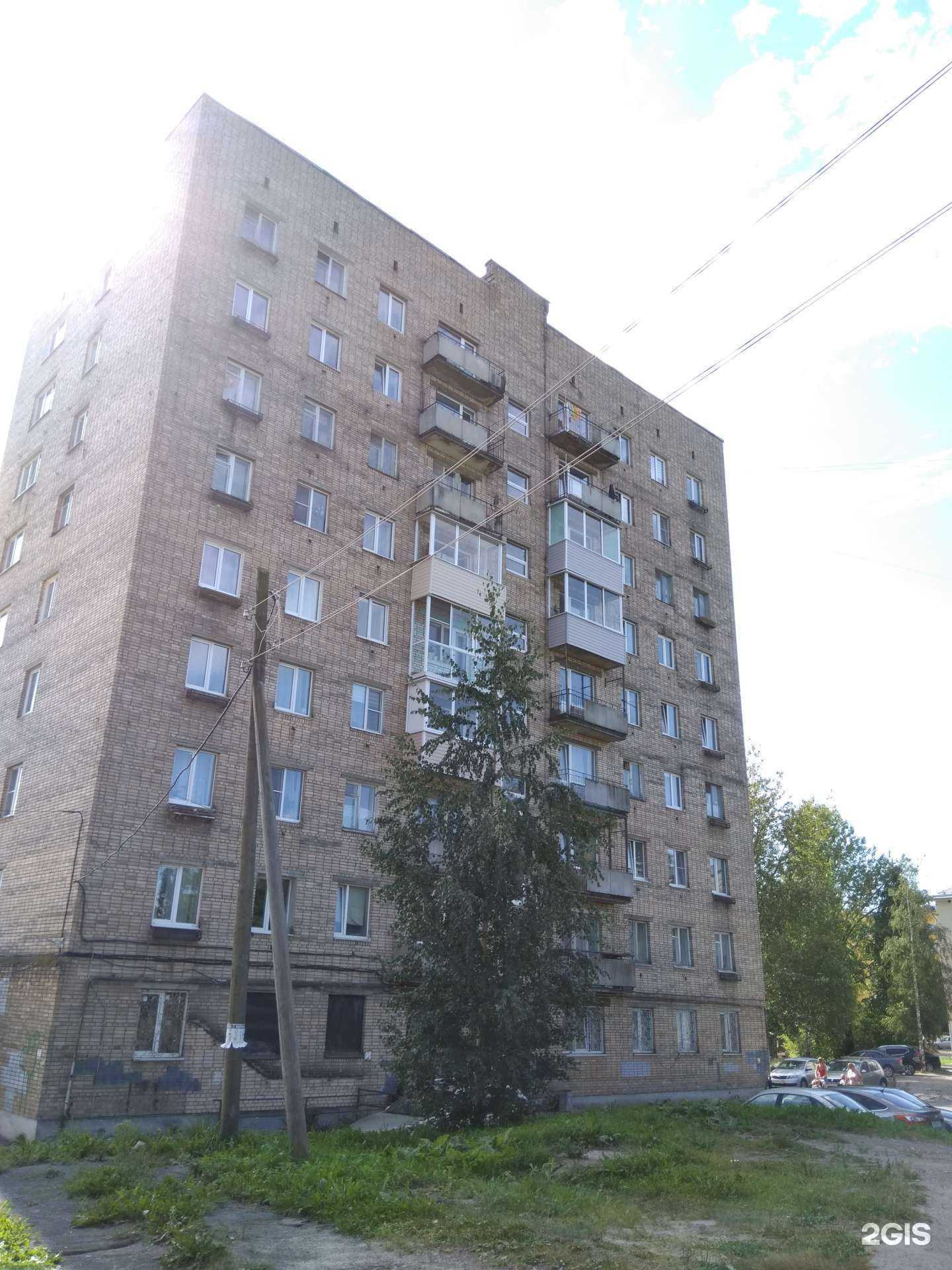 Отзывы на компанию Family studio в Петрозаводске c фото - фотография 2 из 2