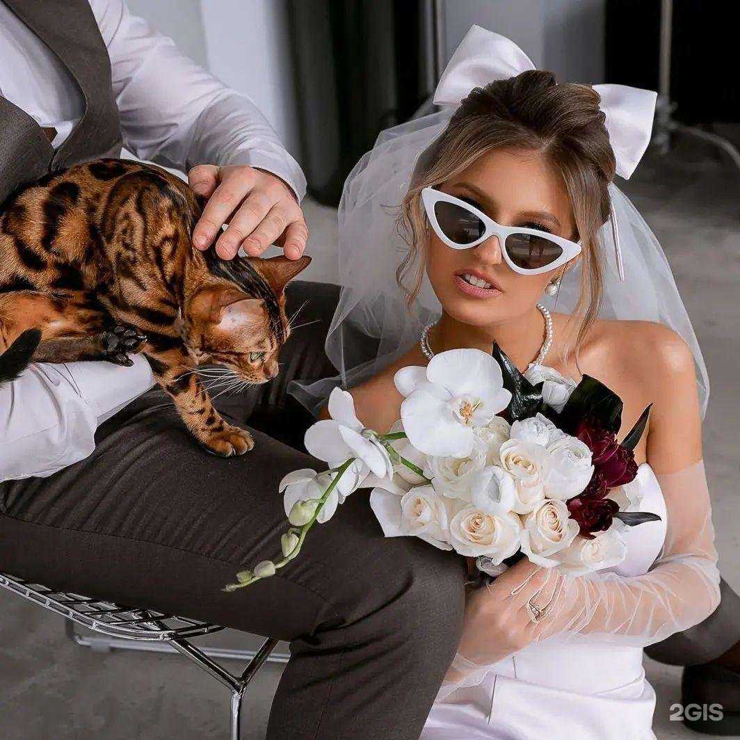 Отзывы на компанию Какао в Рязани c фото