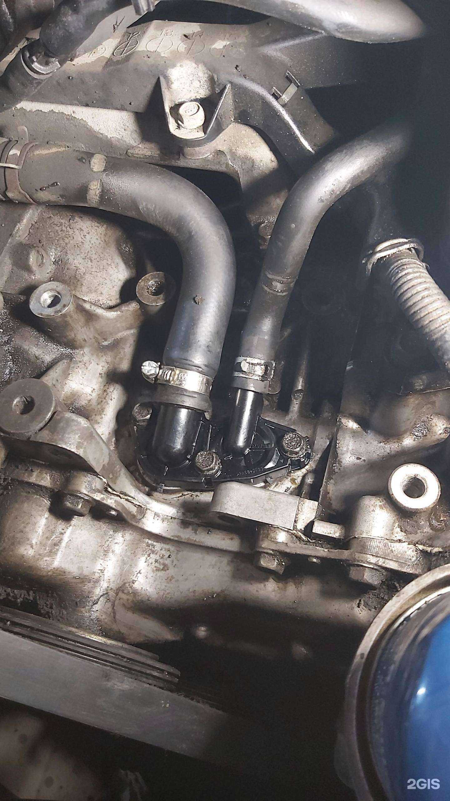 Отзывы на компанию Япония в г. Новосибирск c фото