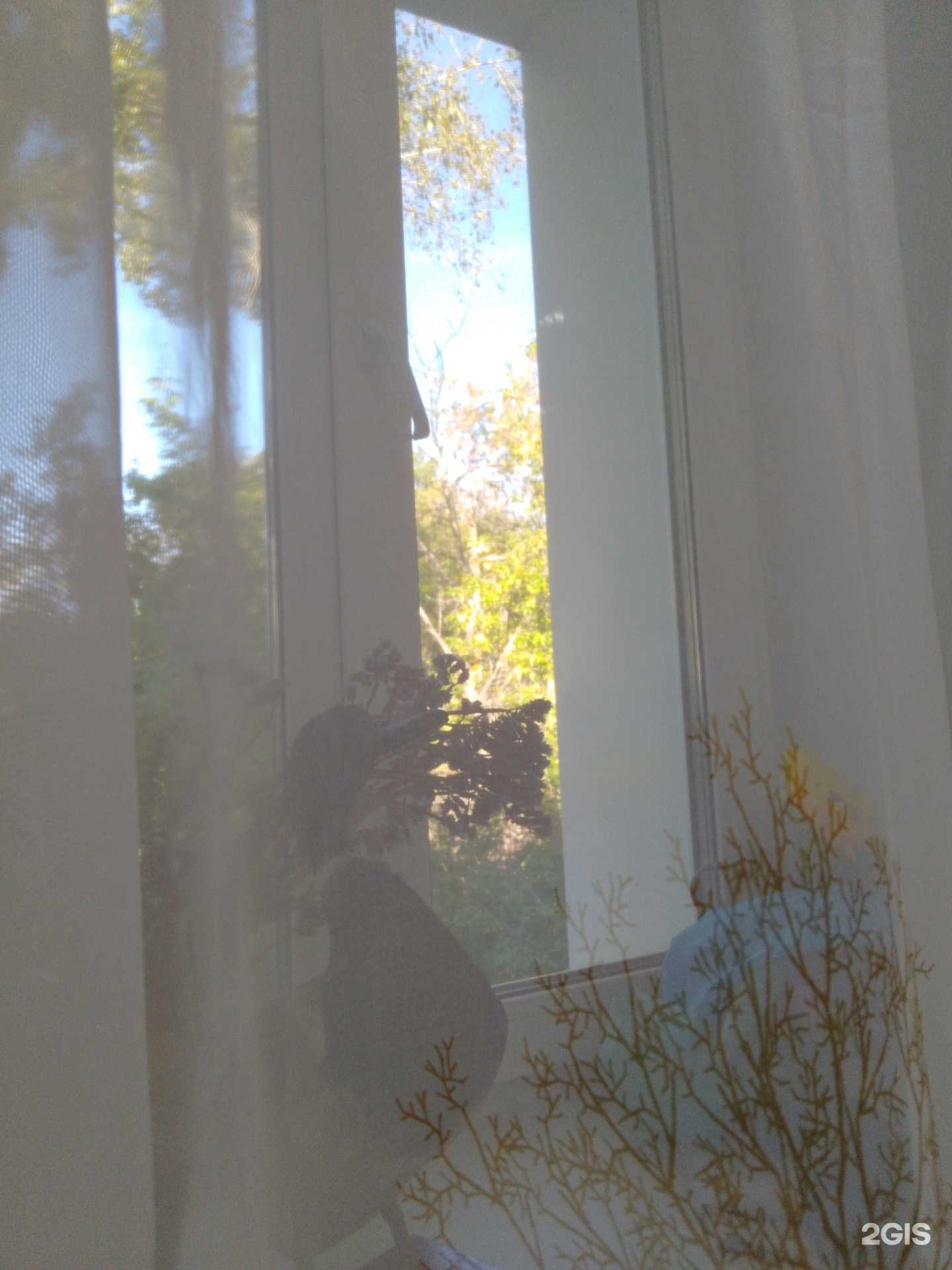 Отзывы на компанию Детская художественная школа №5 в Омске c фото - фотография 2 из 2