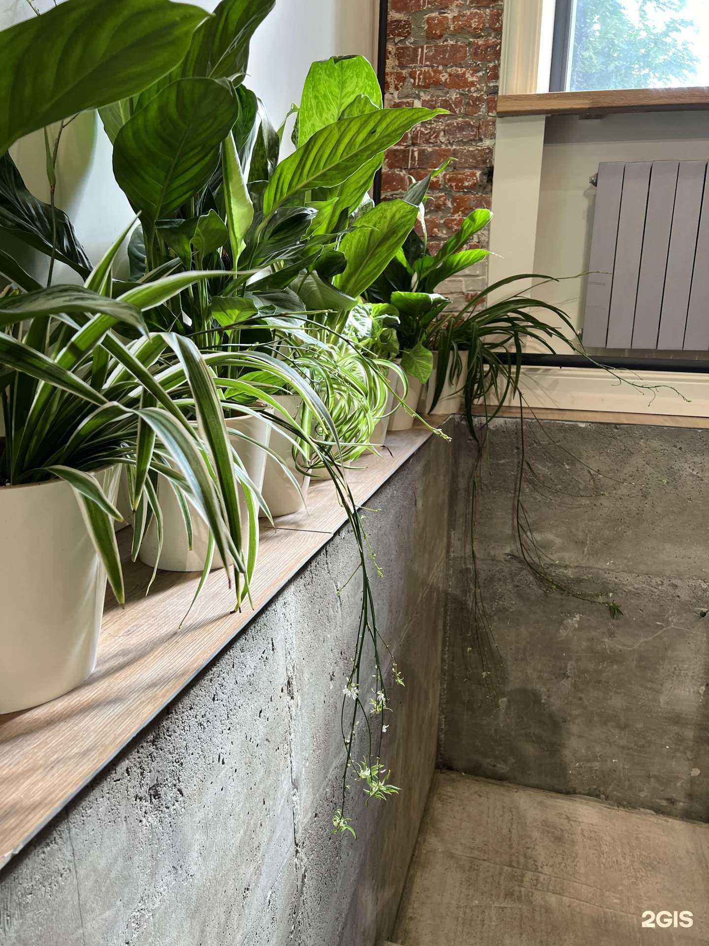 Отзывы на компанию Море Зеленое в г. Хабаровск c фото