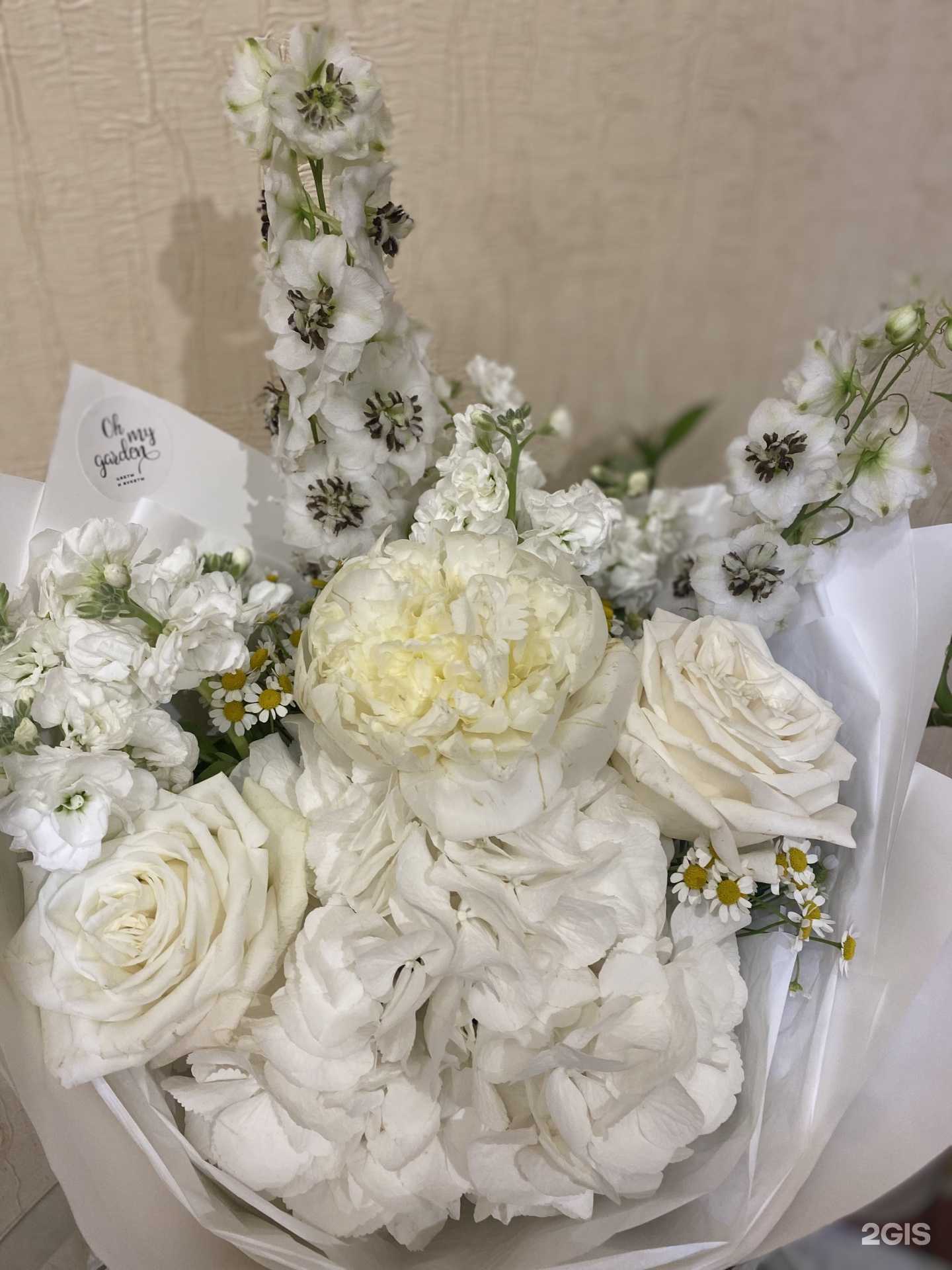 Отзывы на компанию Marta beauty в Якутске c фото