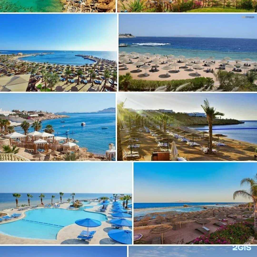 Отзывы на компанию Регион трэвел в г. Жуковский c фото