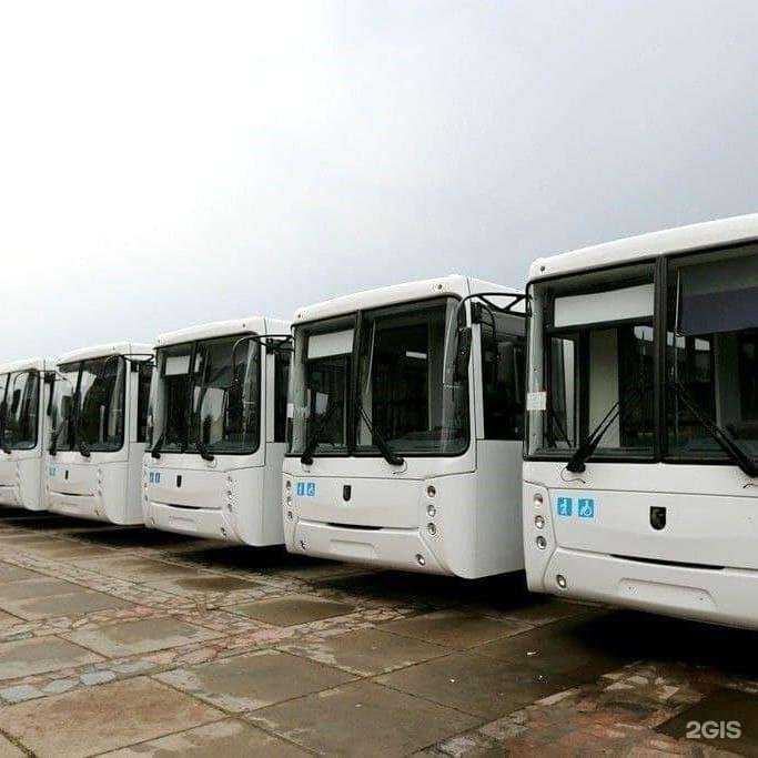 Отзывы на компанию Нитавто в Волгограде c фото