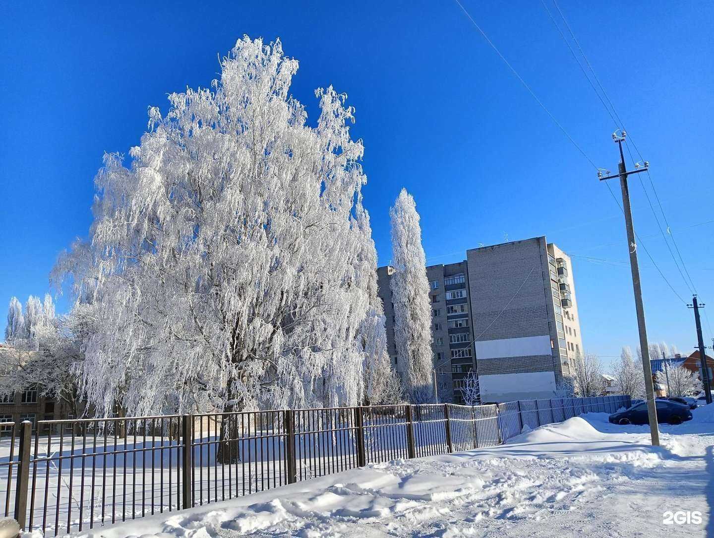 Отзывы на компанию Школа №6 в г. Липецк c фото