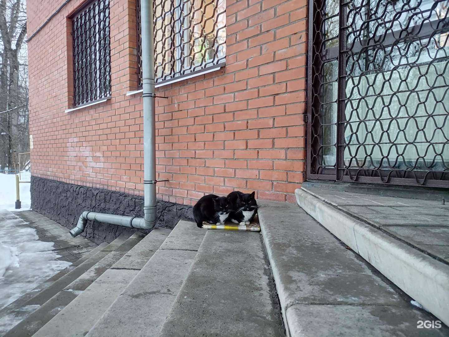 Отзывы на компанию Диана в Королёве c фото - фотография 2 из 2