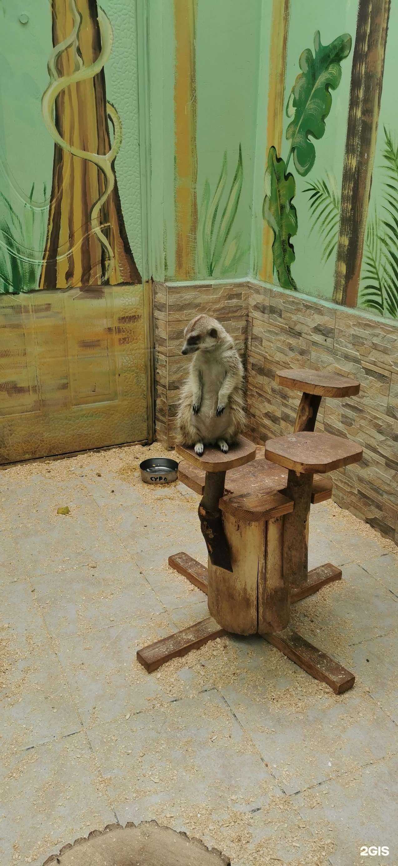 Отзывы на компанию Детский эколого-биологический центр в Омске c фото - фотография 2 из 2