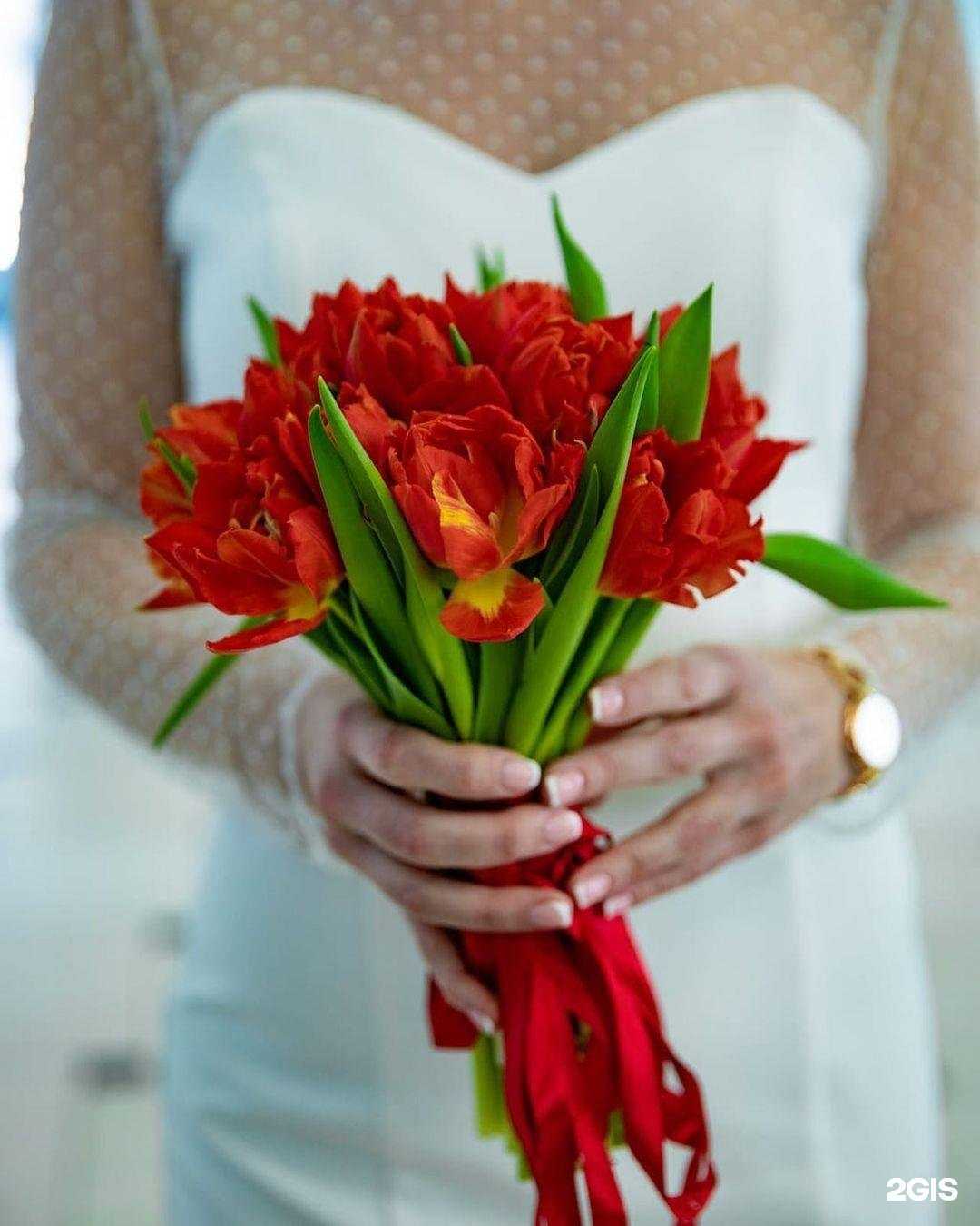 Отзывы на компанию Мой Май в г. Смоленск c фото