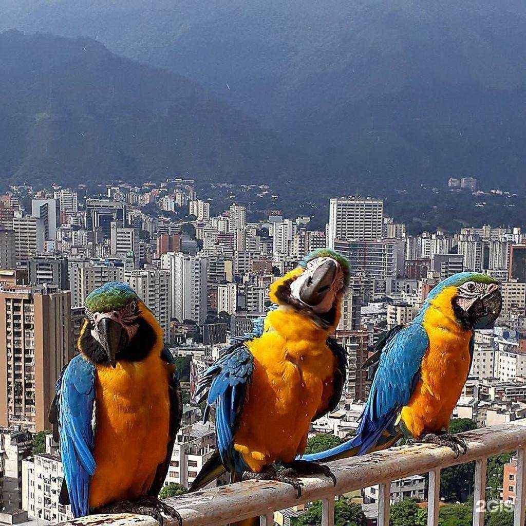 Отзывы на компанию Потопали.info в Томске c фото