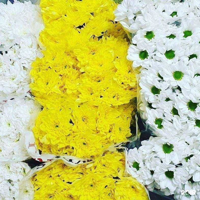 Отзывы на компанию Оптовая база по продаже цветов в Омске c фото