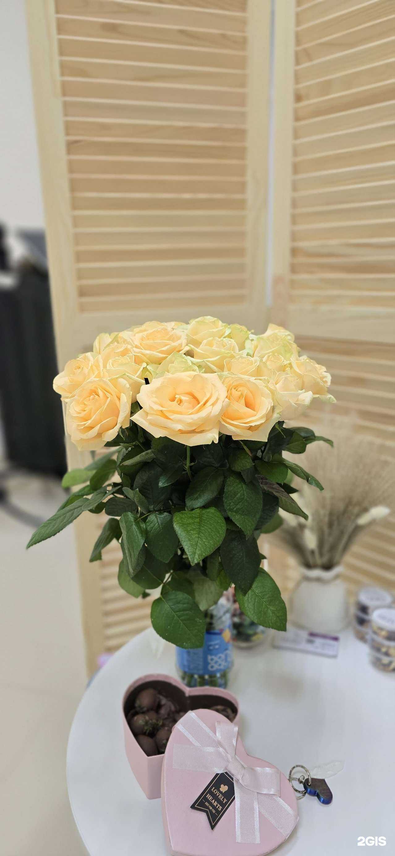 Отзывы на компанию Перо в Хабаровске c фото