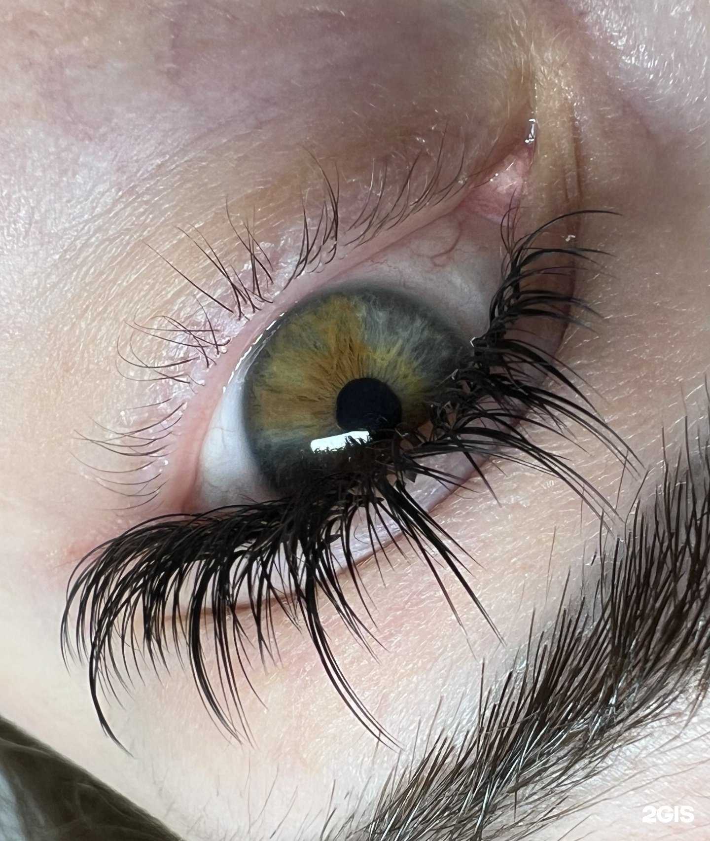 Отзывы на компанию Красота во взгляде в Новосибирске c фото