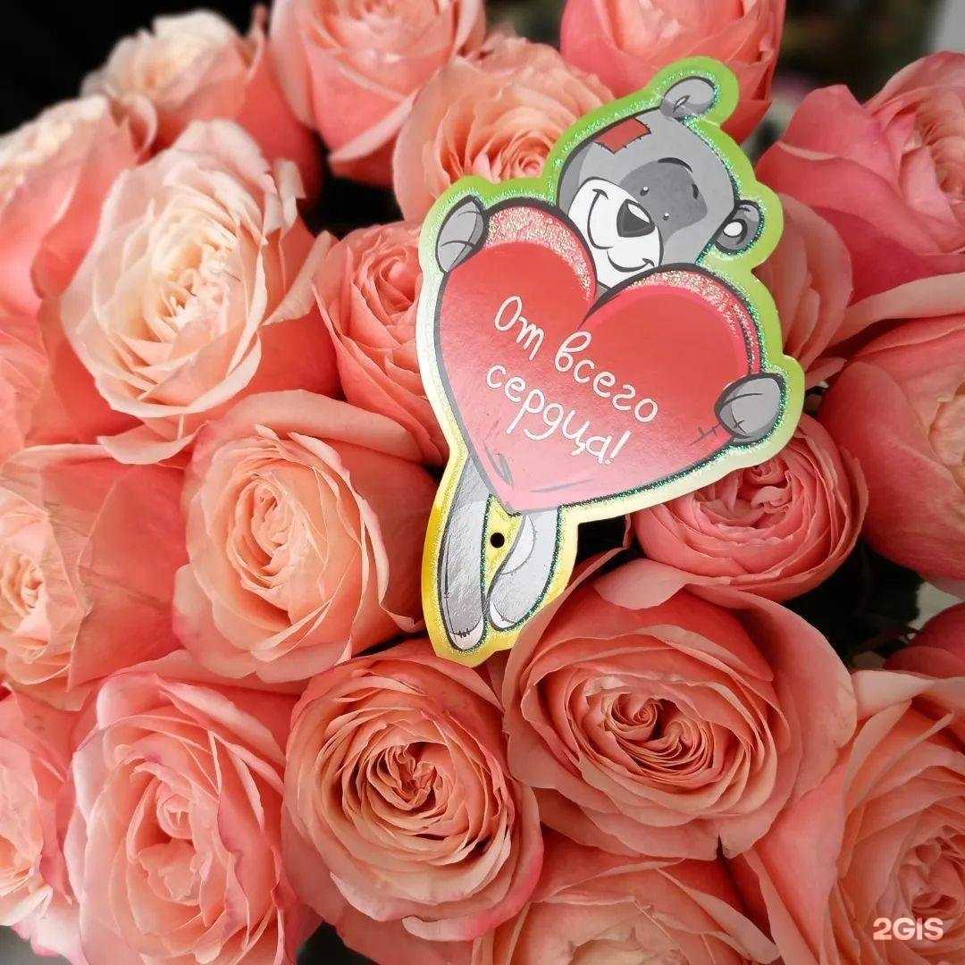 Отзывы на компанию Николь в г. Нефтекамск c фото