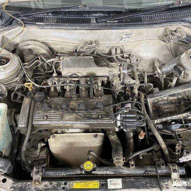 Отзывы на компанию Tesla-m в г. Новосибирск c фото