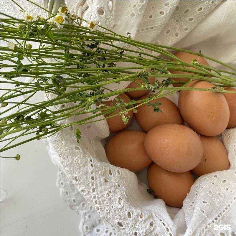 Отзывы на компанию Звенящие кедры в г. Новосибирск c фото