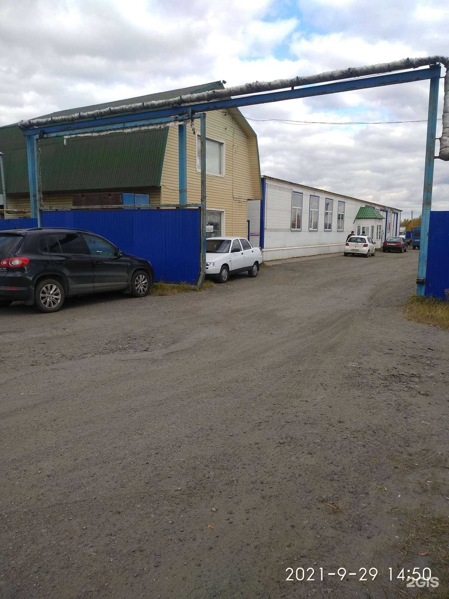 Отзывы на компанию Пингвин в г. Курган c фото