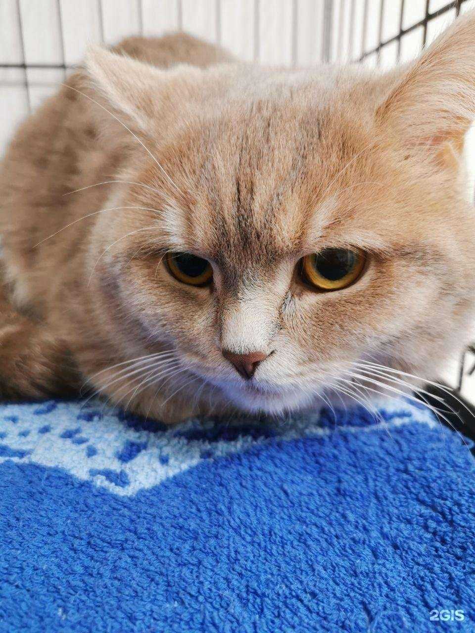 Отзывы на компанию Анима в Самаре c фото