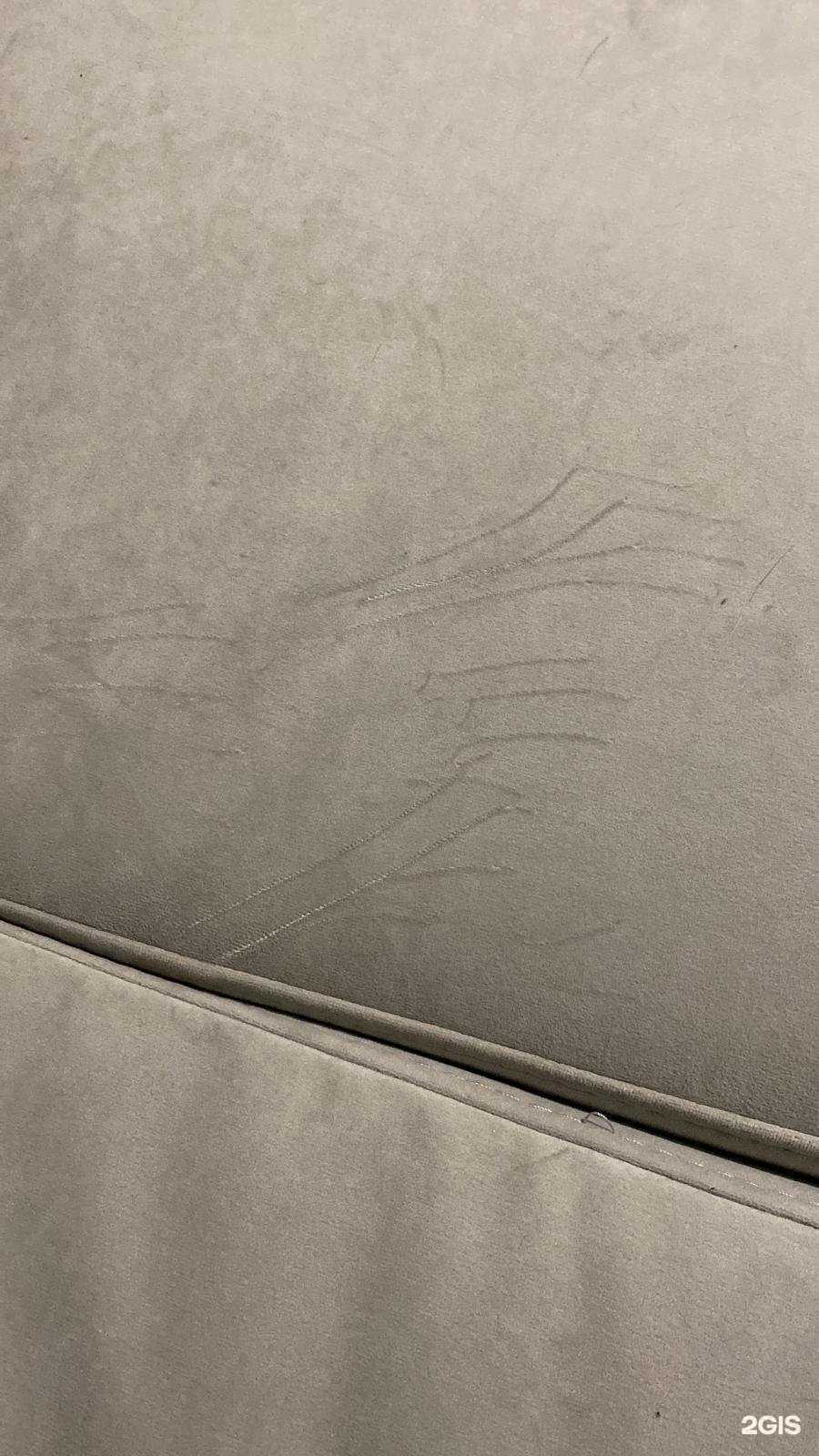 Отзывы на компанию SoftHouse в Томске c фото