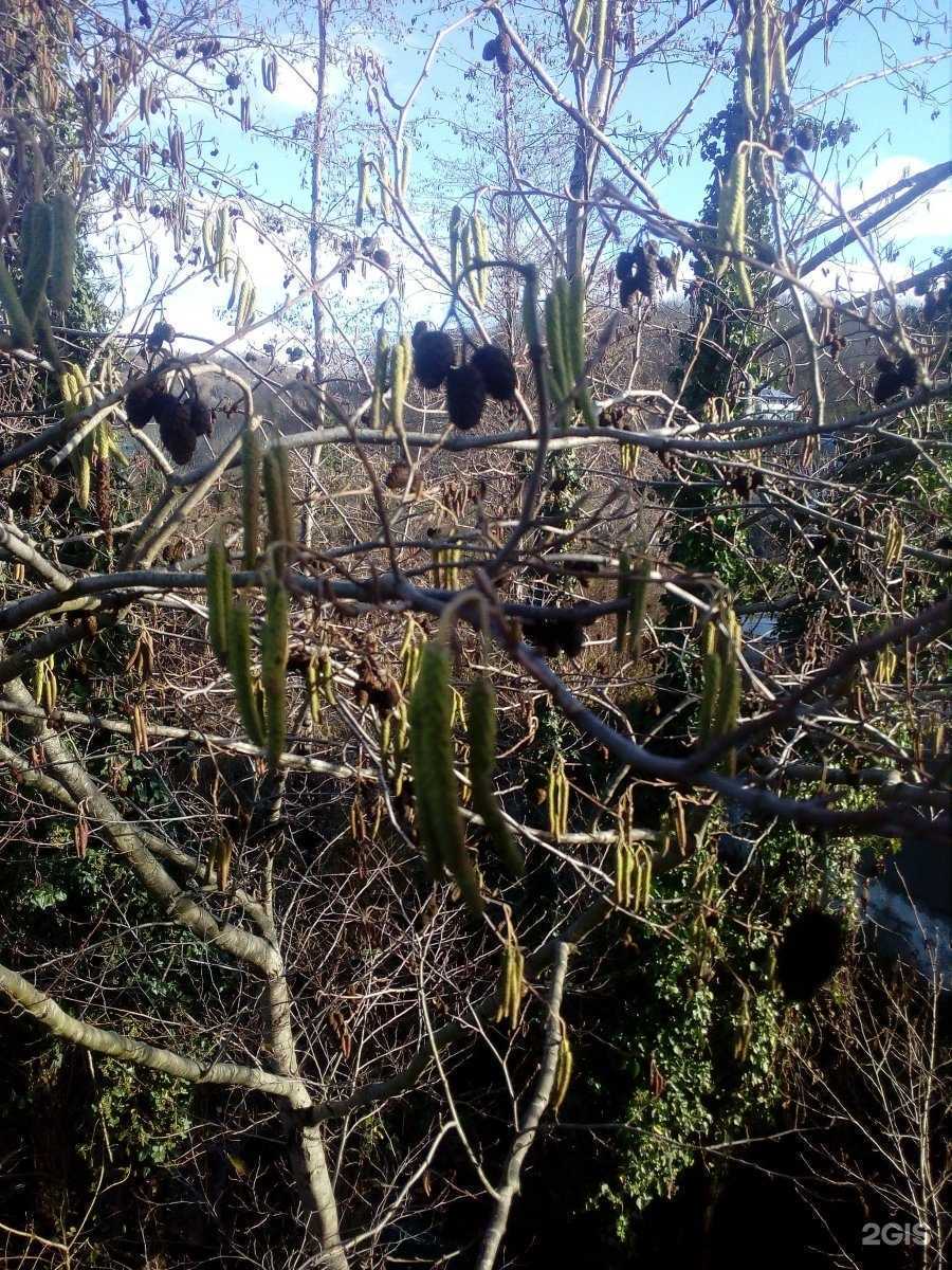 Отзывы на компанию Дом Архитектора в Сочи c фото