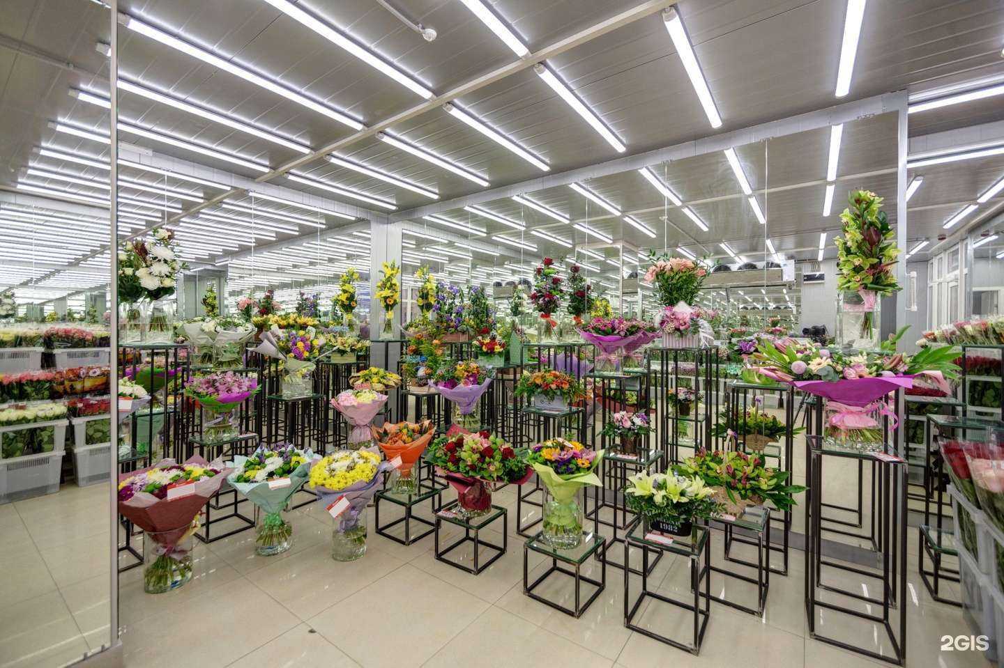 Отзывы на компанию Союзцветторг в Реутове c фото