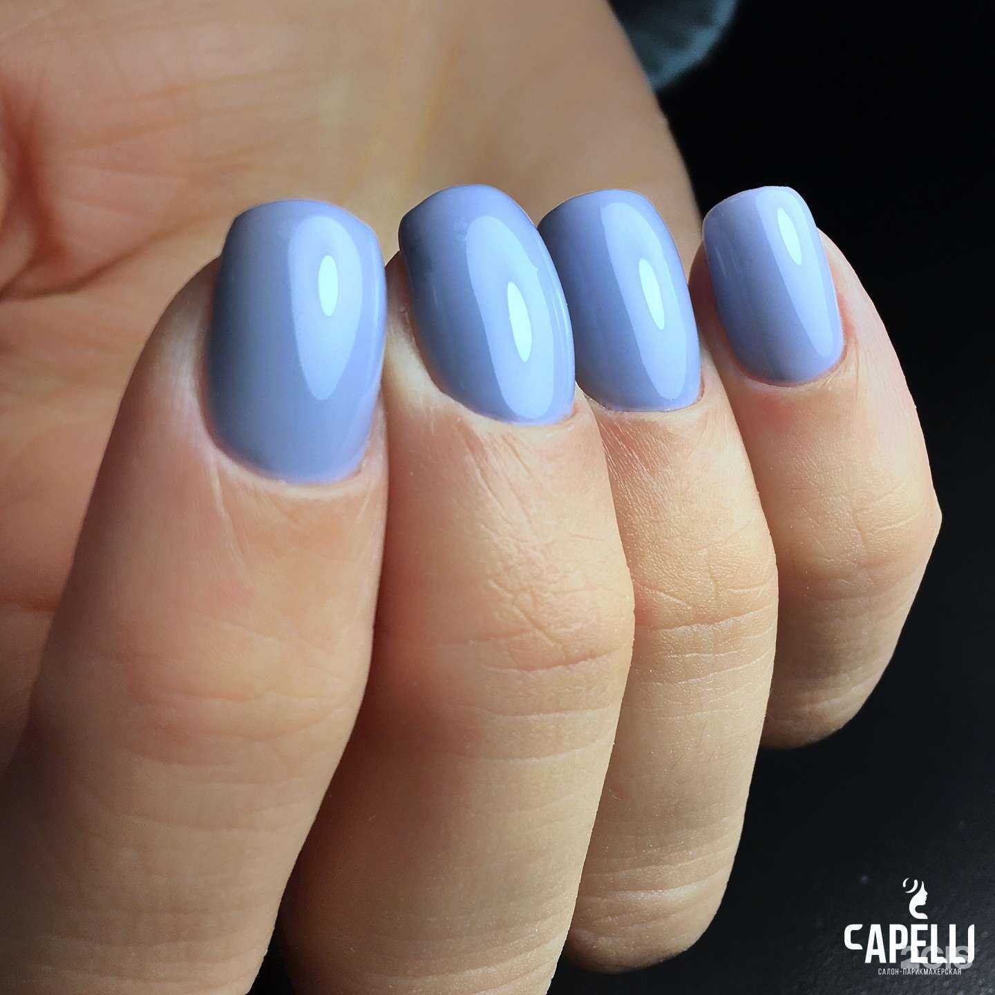 Отзывы на компанию Capelli в Калининграде c фото - фотография 2 из 3