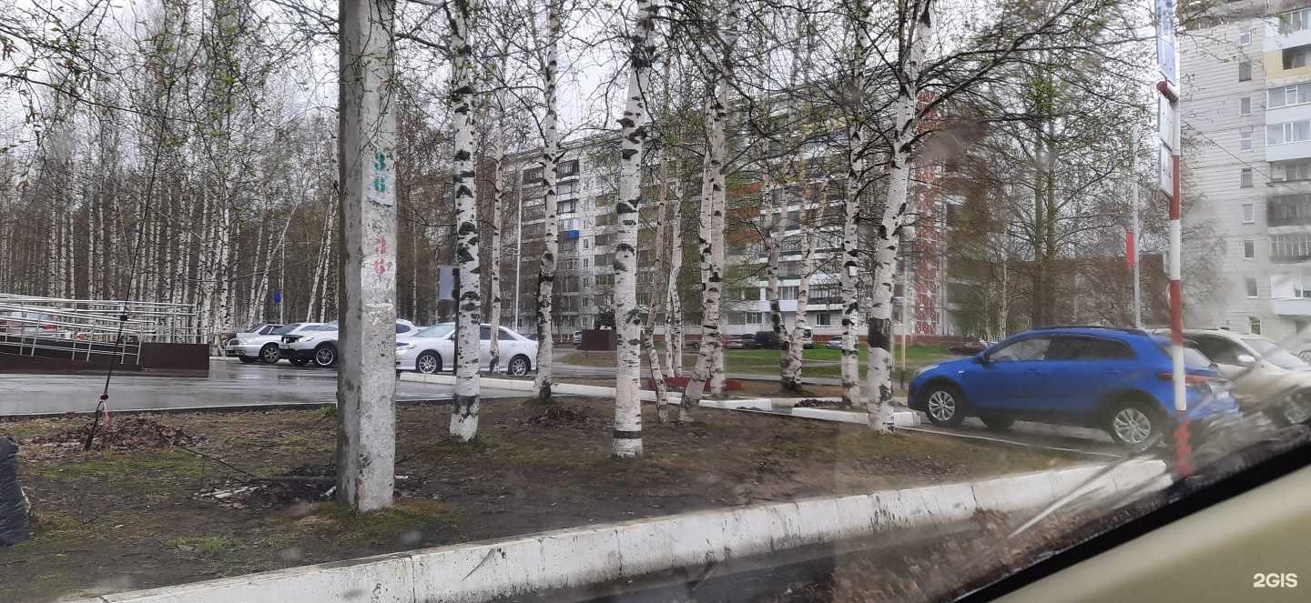 Отзывы на компанию Дантист в Стрежевое c фото