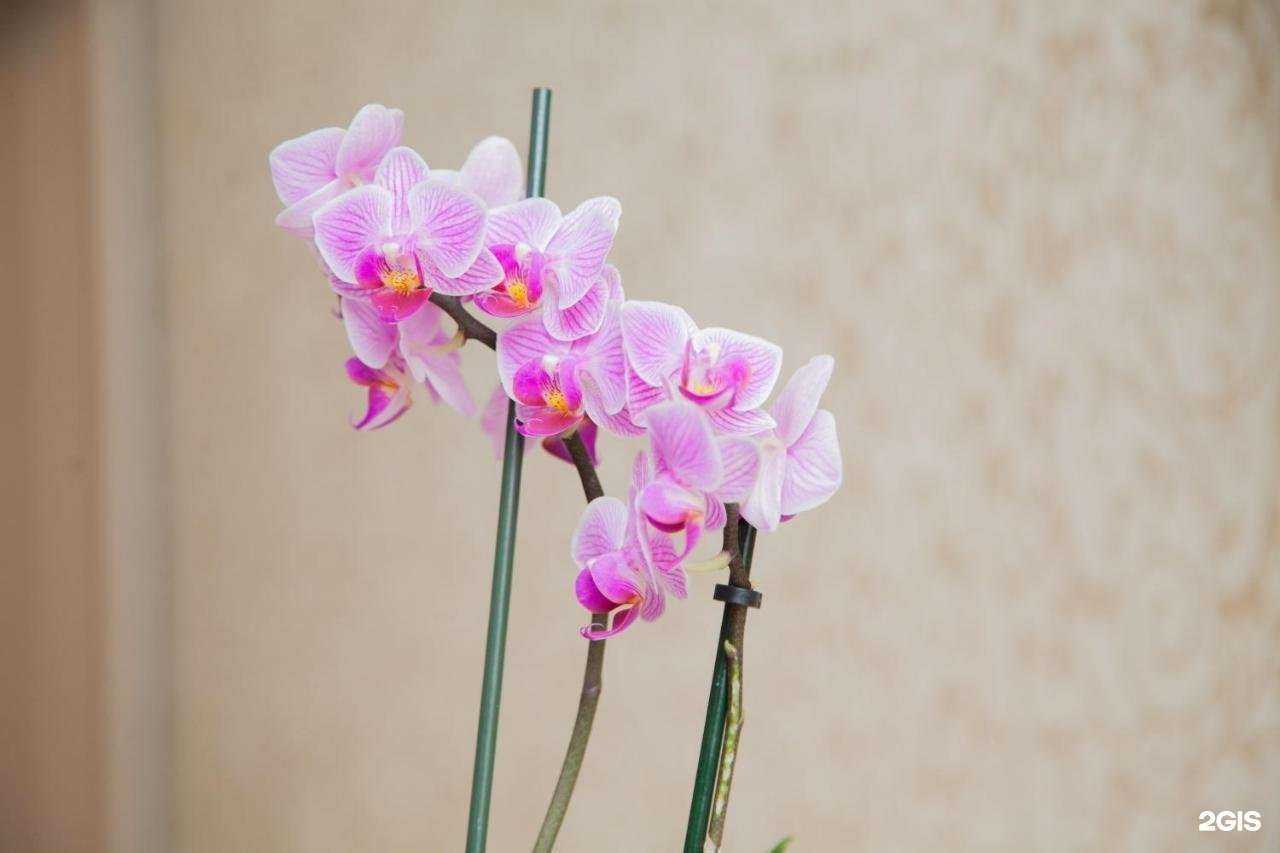 Отзывы на компанию Старый город в Казани c фото