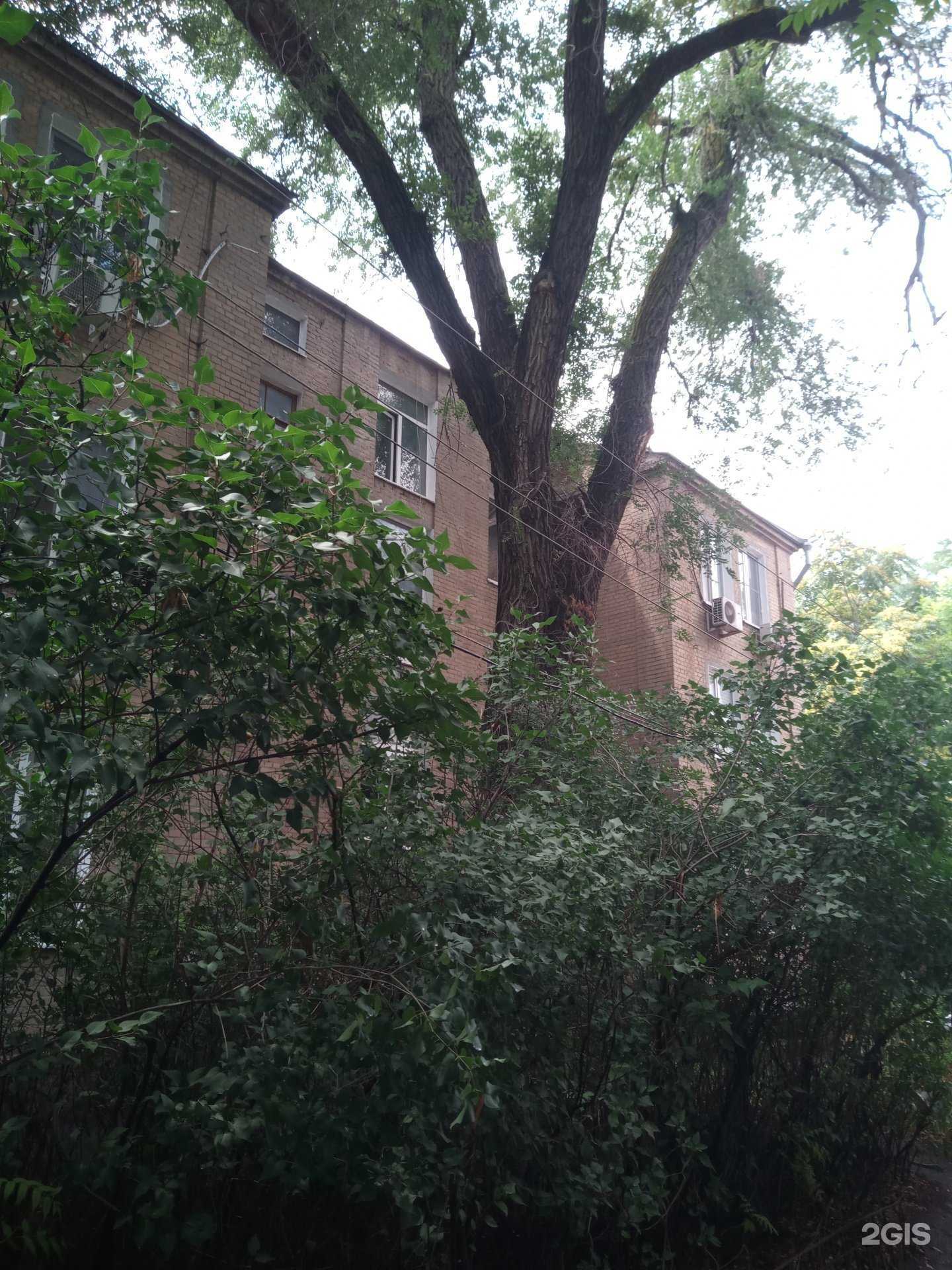 Отзывы на компанию Багира в Ростове-на-Дону c фото - фотография 2 из 2