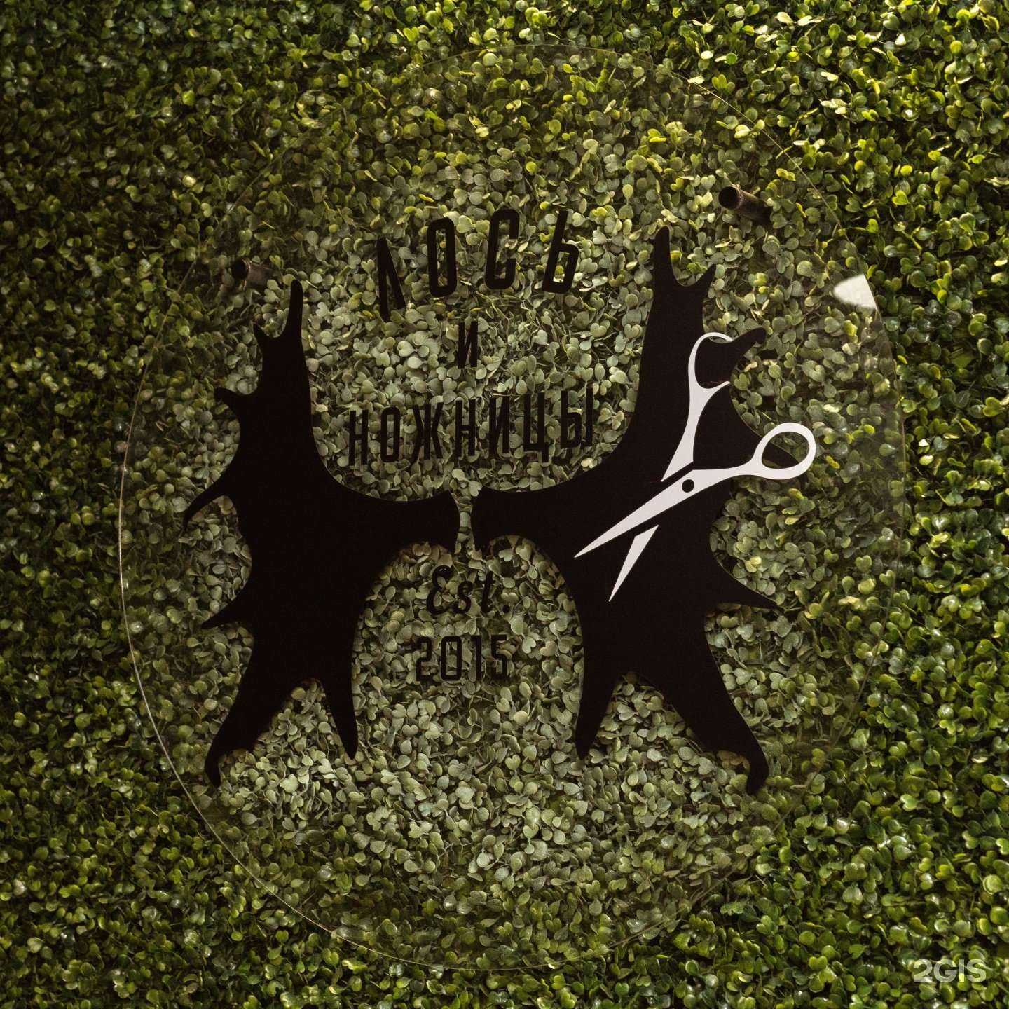 Отзывы на компанию Лось и Ножницы в Барнауле c фото