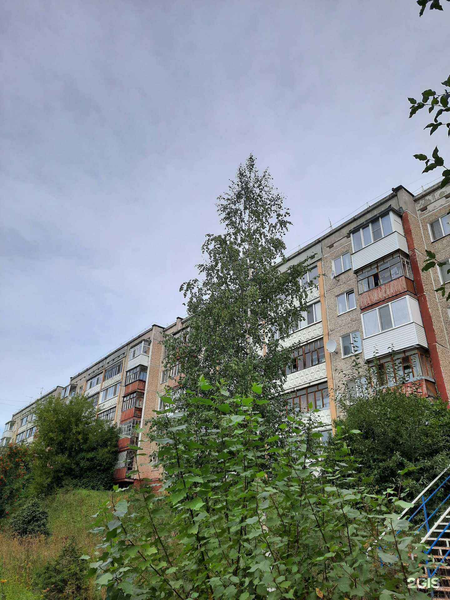 Отзывы на компанию Барбарис в г. Березники c фото