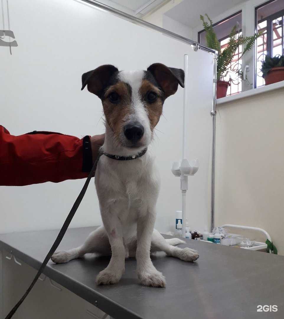 Отзывы на компанию Ваш доктор в г. Рязань c фото