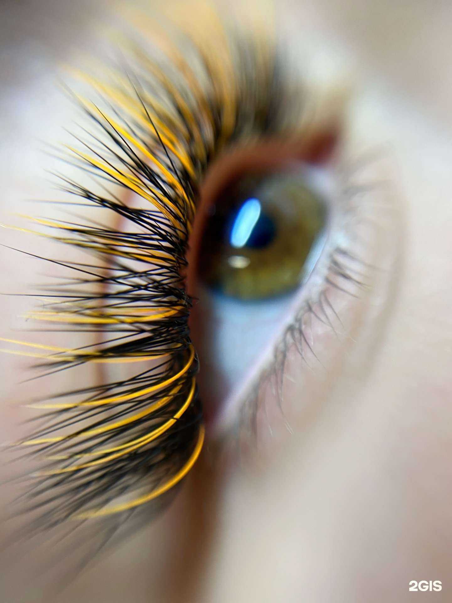 Отзывы на компанию Fresh look в Барнауле c фото