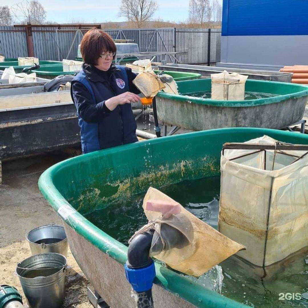 Отзывы на компанию Чебаркульский рыбозавод в Чебаркуле c фото