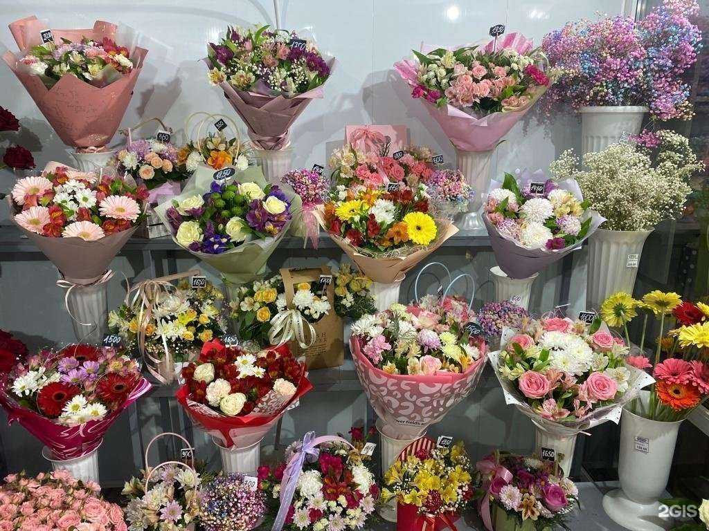 Отзывы на компанию Мята в Тихорецке c фото