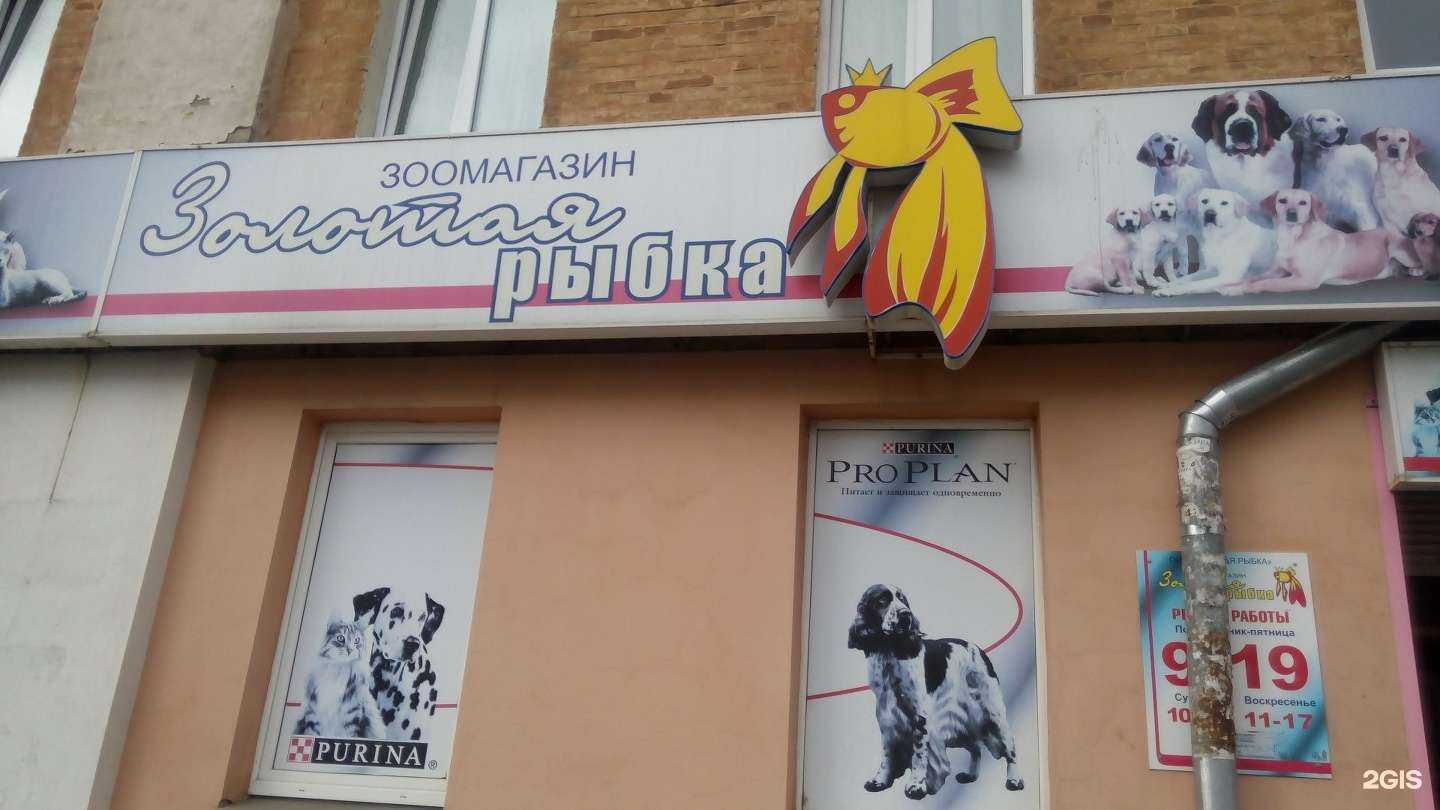 Отзывы на компанию Золотая рыбка в г. Ижевск c фото