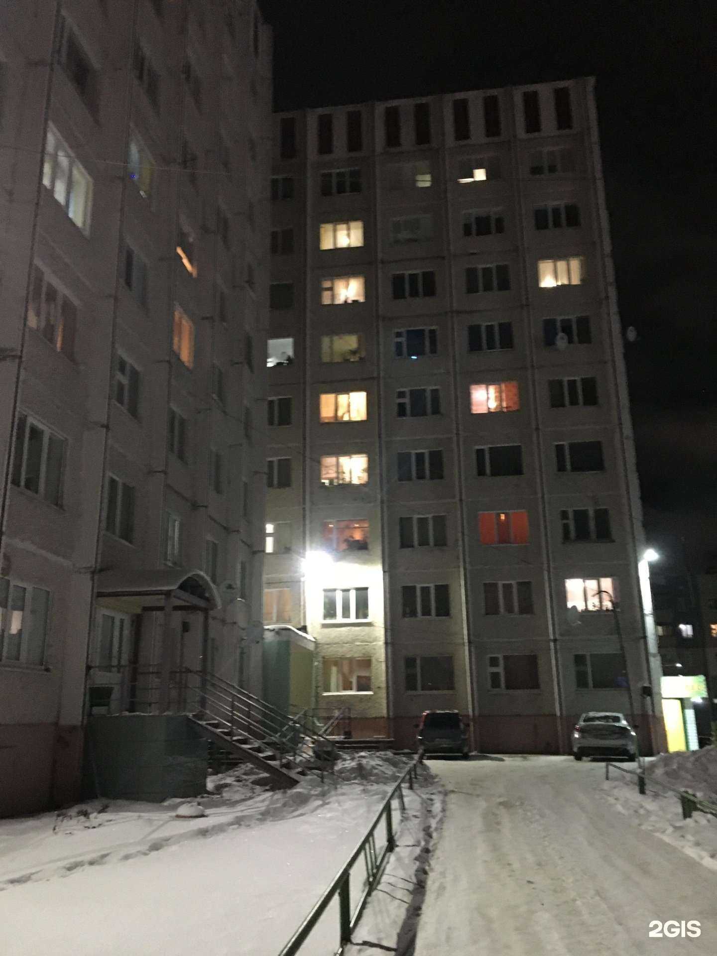 Отзывы на компанию Кот и Пёс в Ноябрьске c фото - фотография 2 из 2