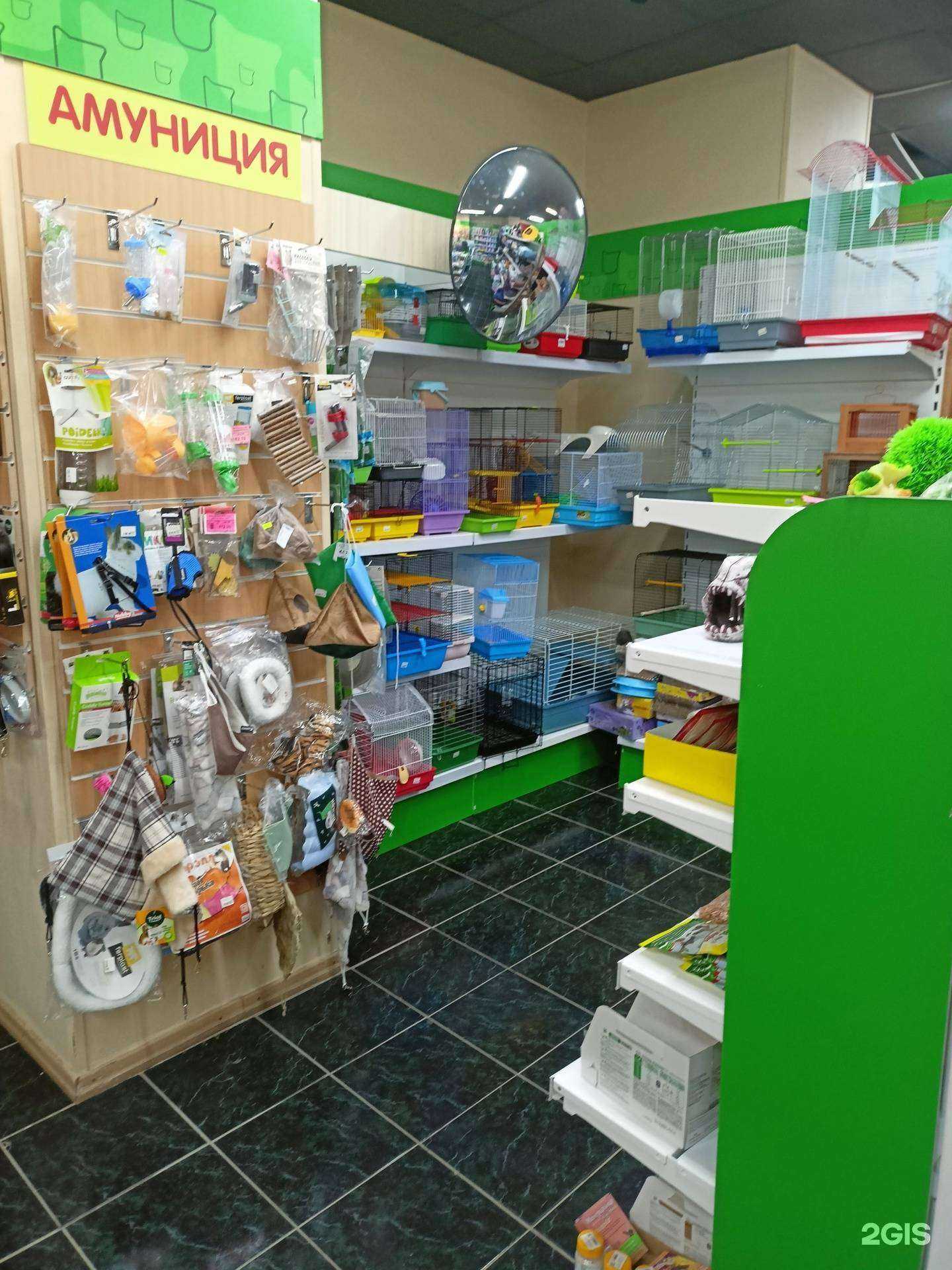 Отзывы на компанию Любимчик в Большое Камени c фото