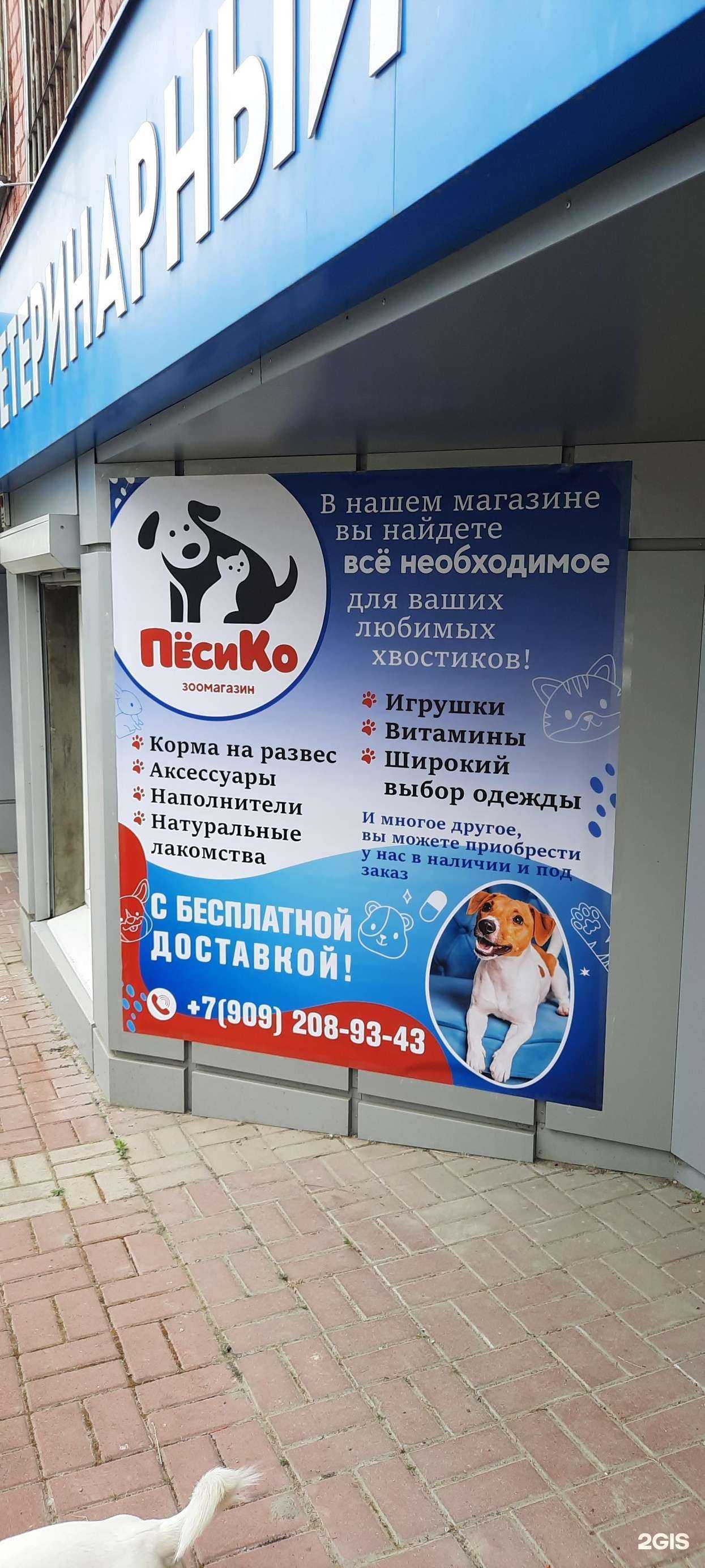 Отзывы на компанию ПёсиКо в г. Белгород c фото