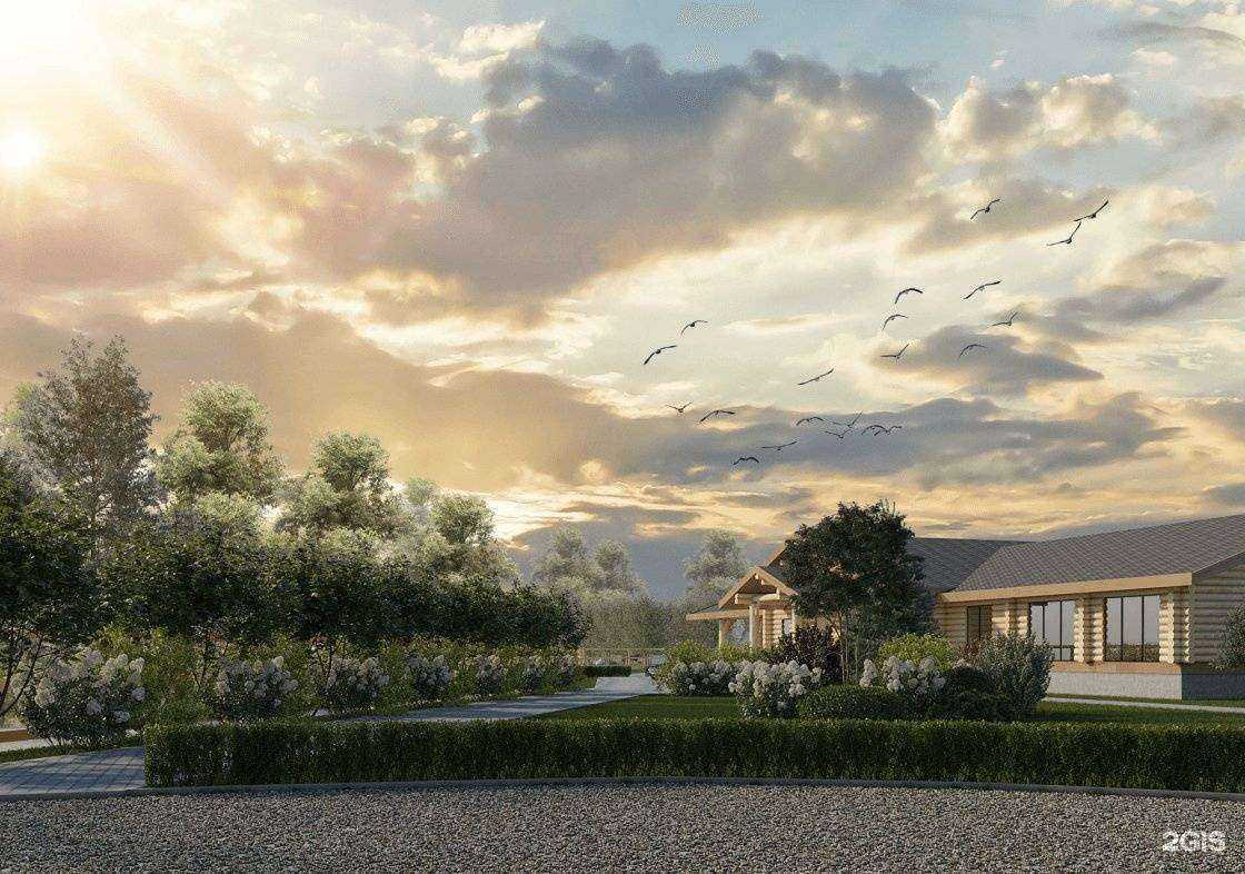 Отзывы на компанию Proсадовник в г. Воронеж c фото